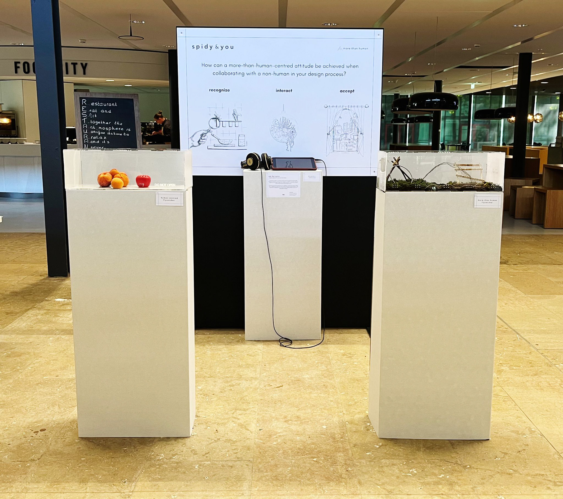 exhibition setup