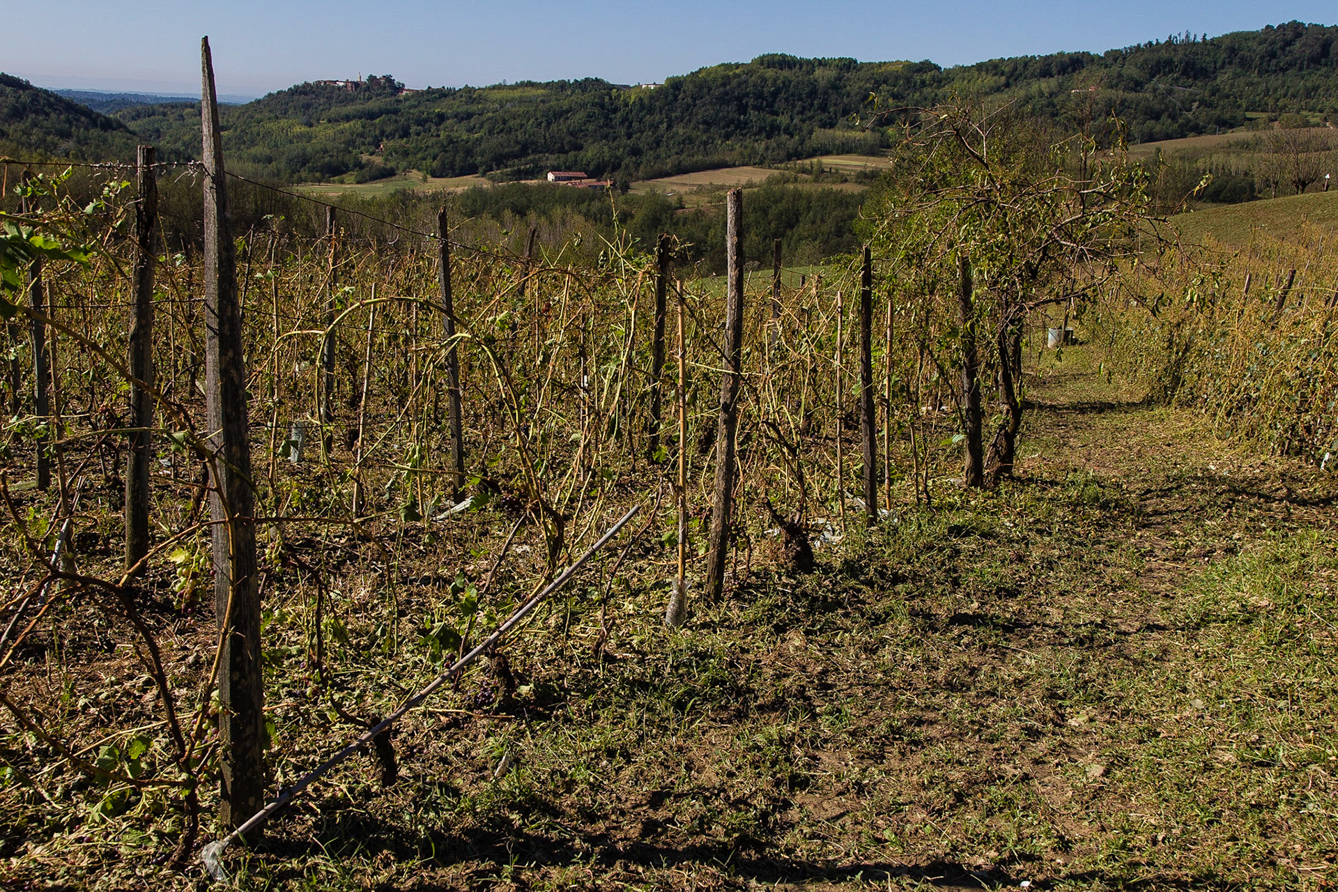 Il disastro. Senza parole!!