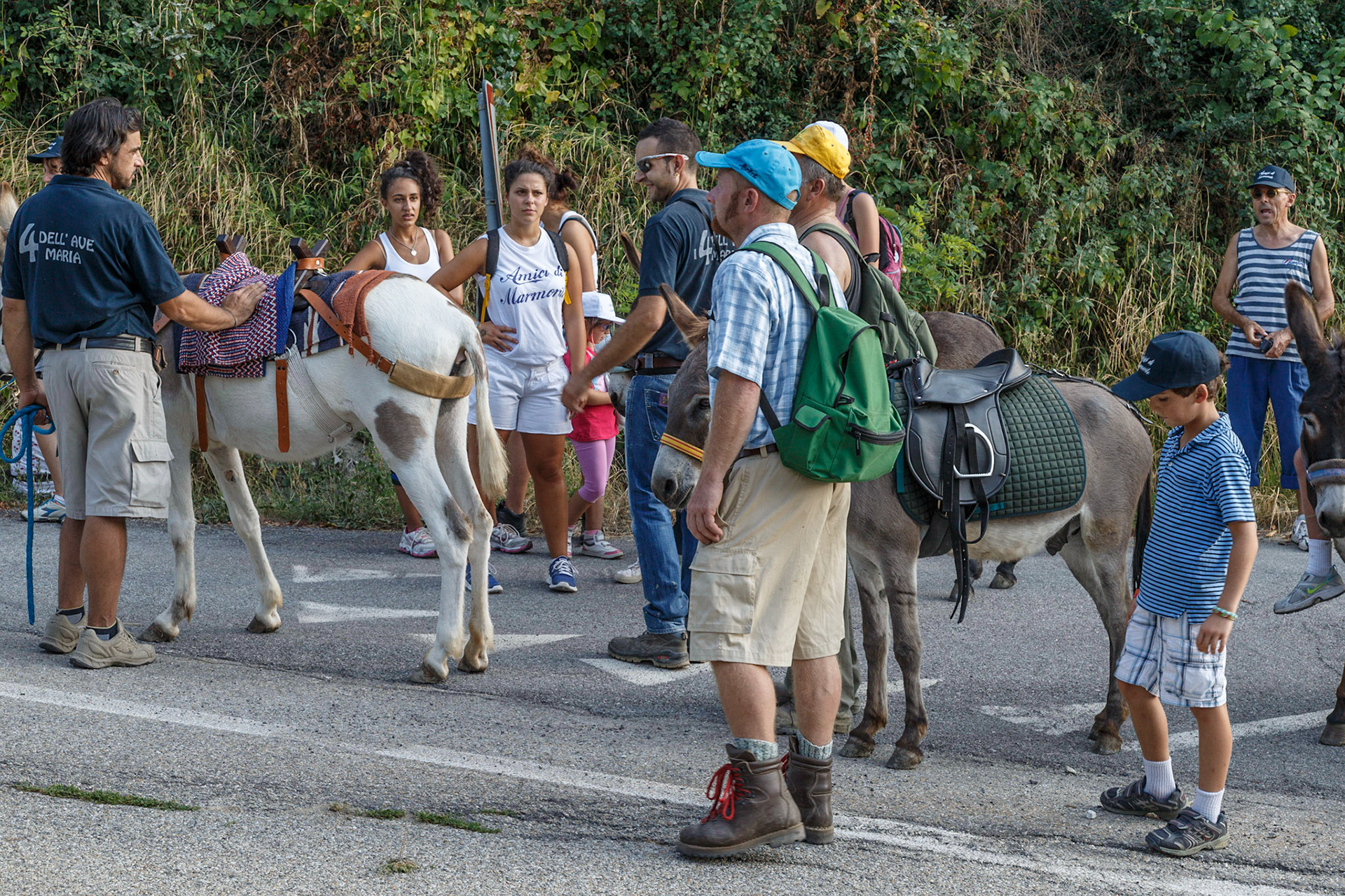 Panorama a Passo D'Asino
