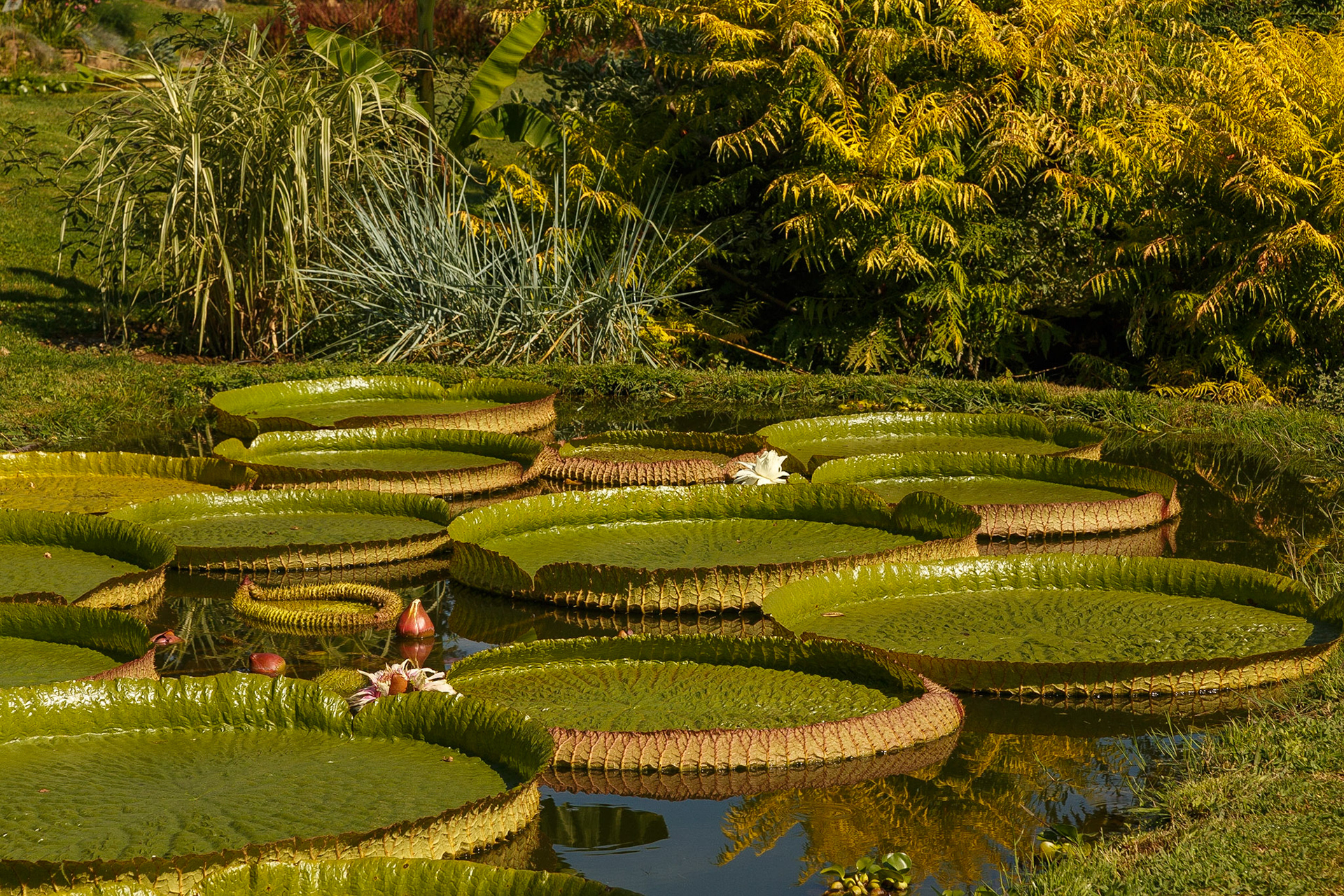 Giardino Botanico di Villa Bricherasio di Saluzzo