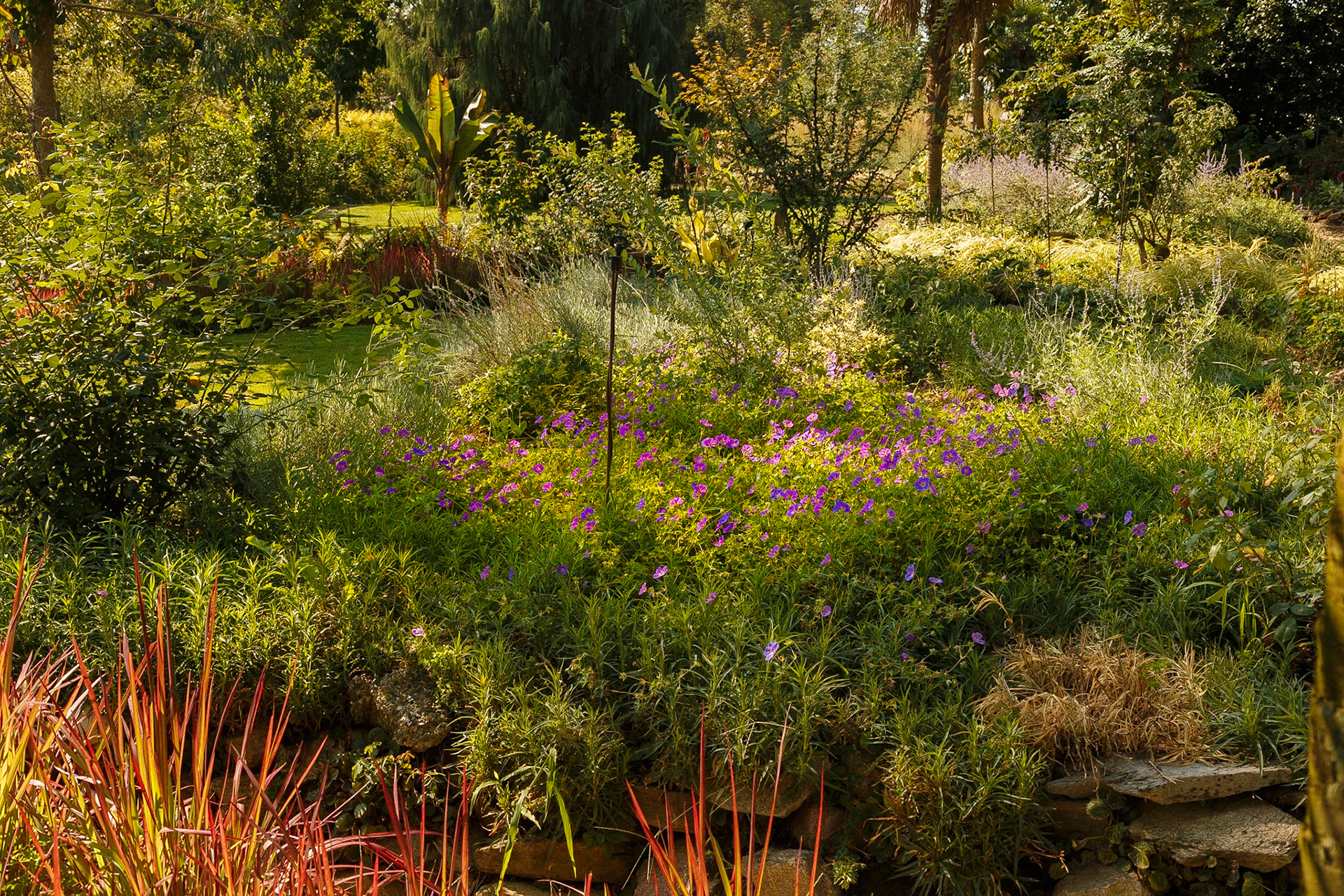 Giardino Botanico di Villa Bricherasio di Saluzzo