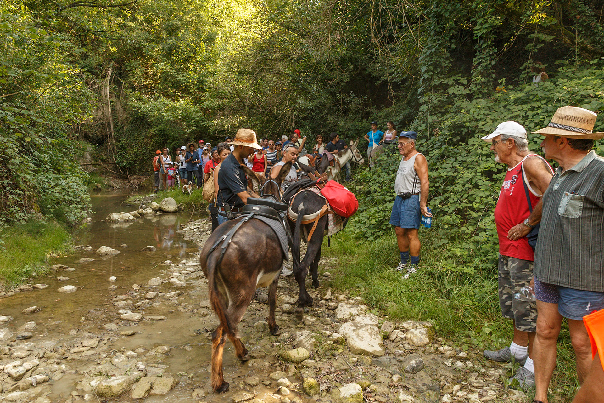 Panorama a Passo D'Asino