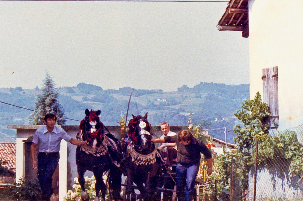 Festa Patronale di S. Rocco 1978
