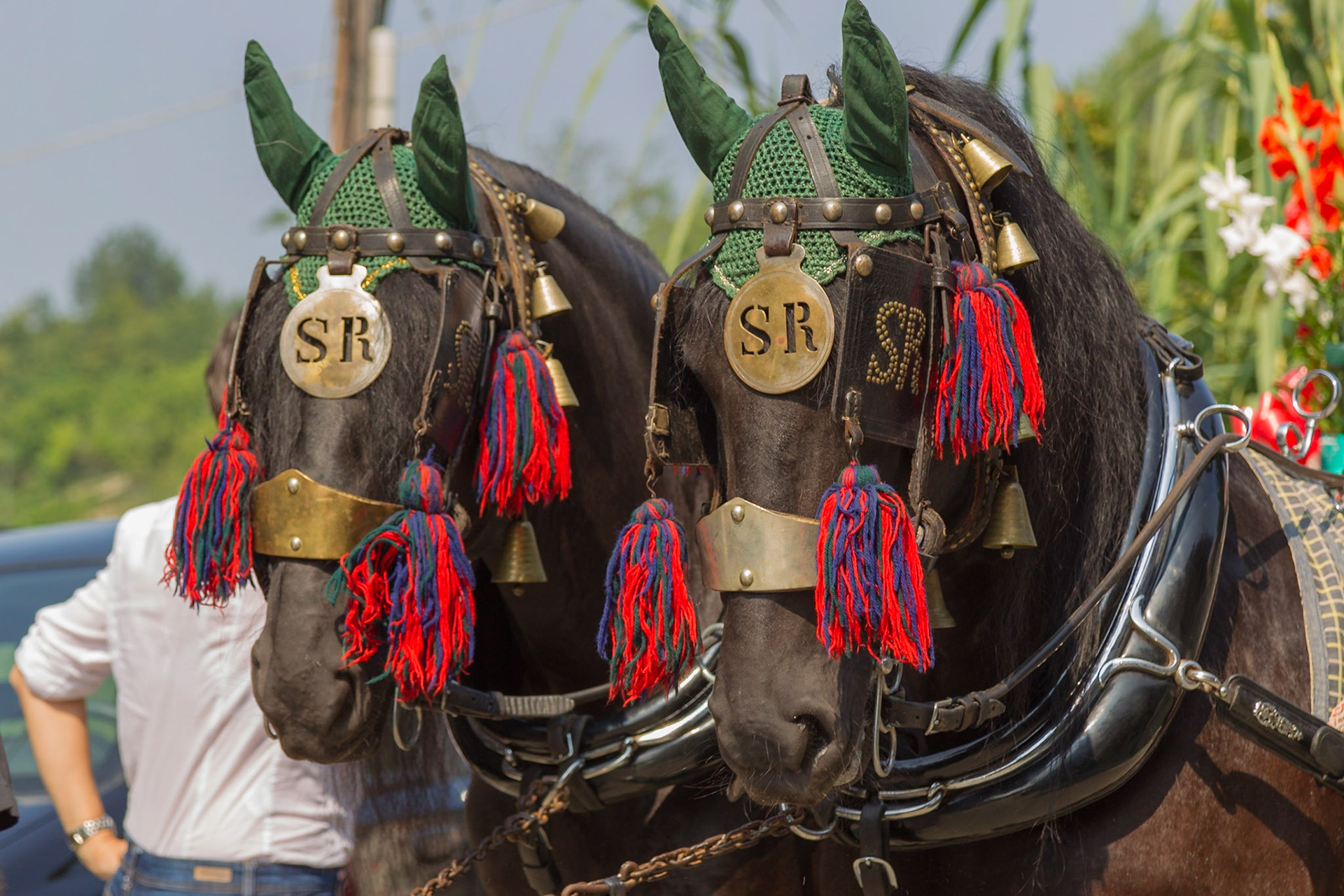 Tradizionale "Corso Del Carro" per le vie del paese accompagnati dalla banda musicale "L' Ardita"