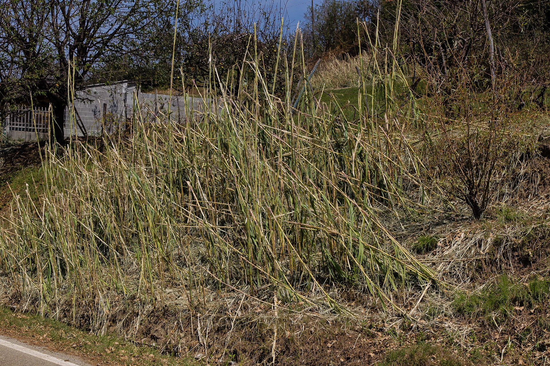 Il disastro. Senza parole!!