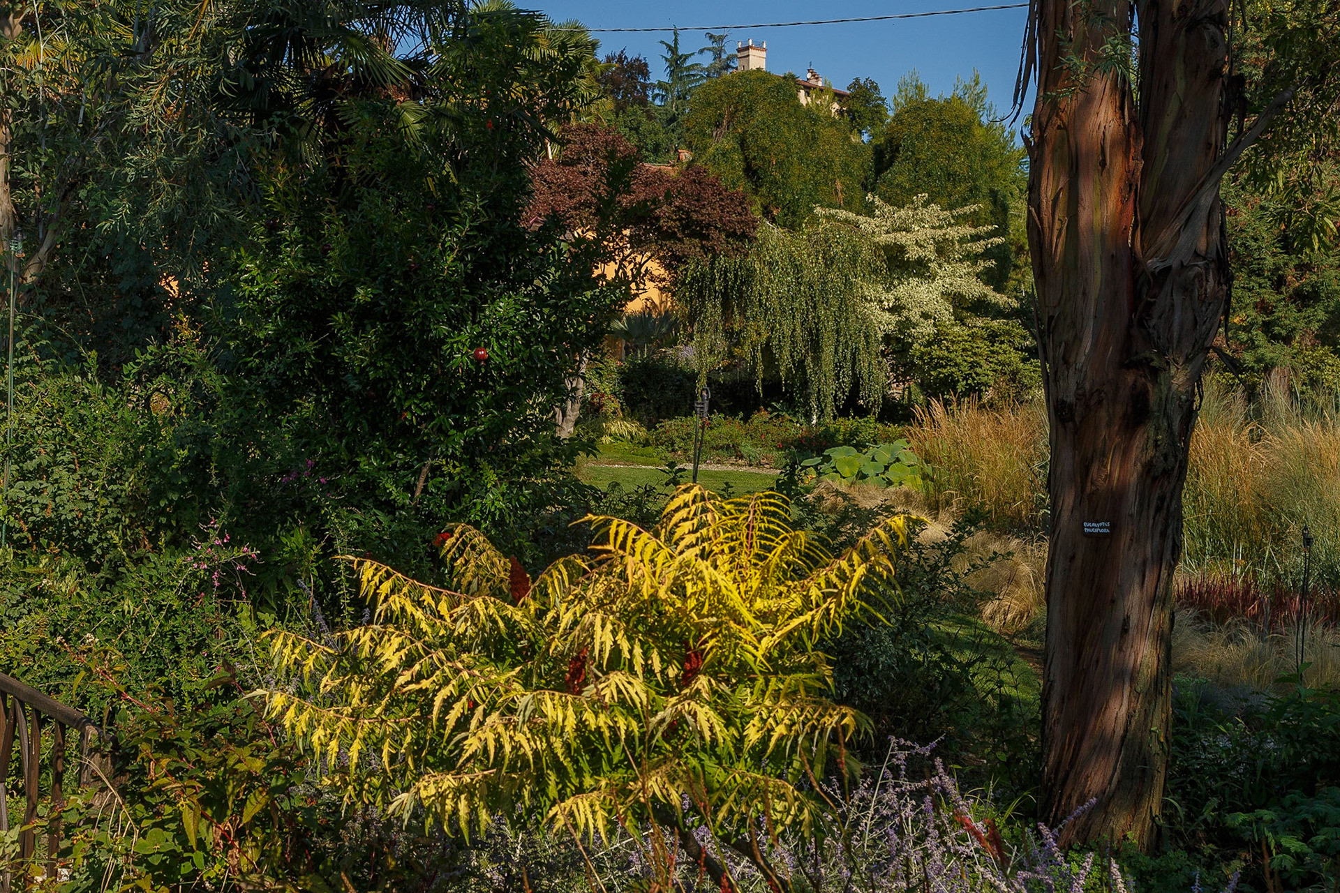 Giardino Botanico di Villa Bricherasio di Saluzzo