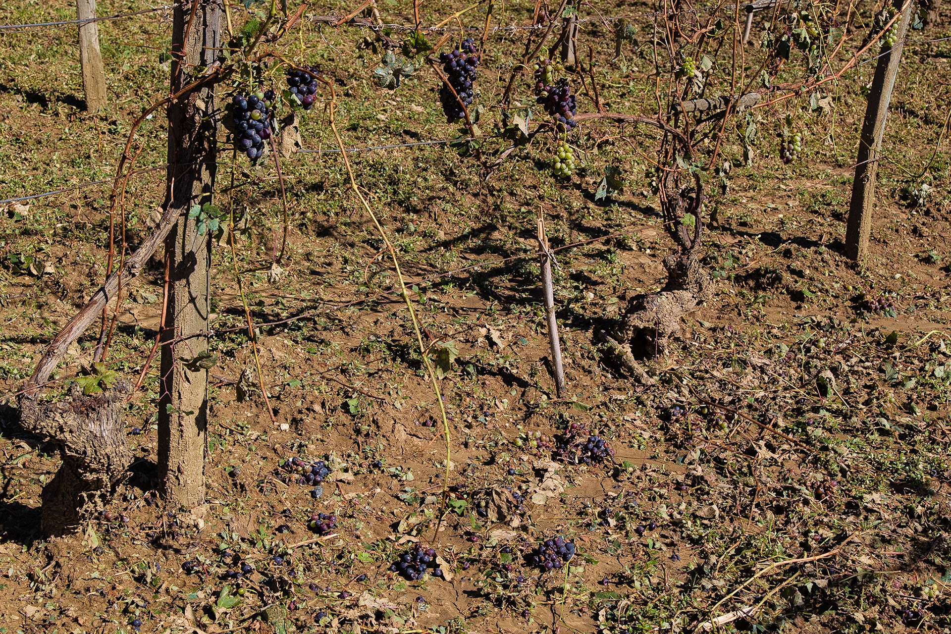 Il disastro. Senza parole!!