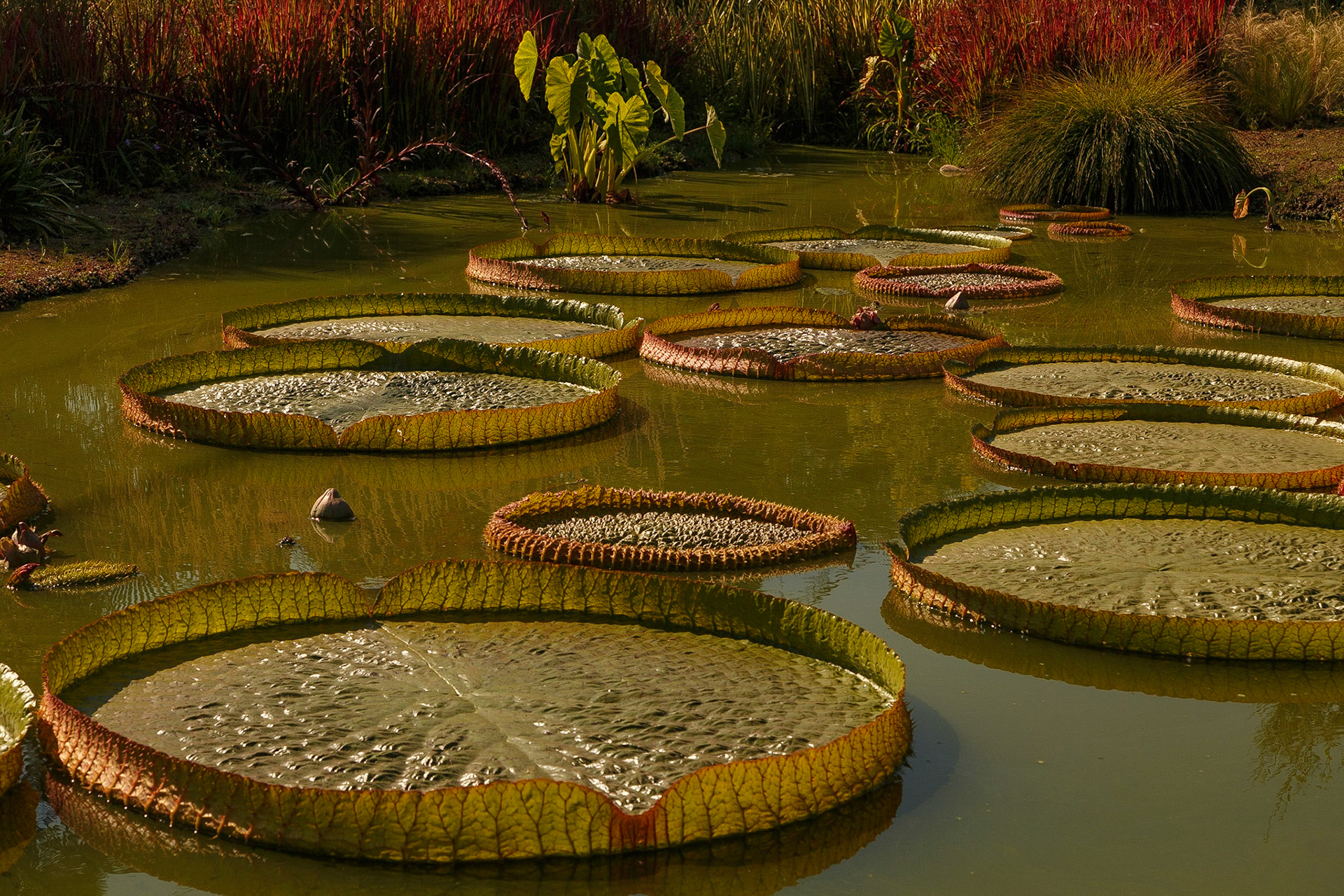 Giardino Botanico di Villa Bricherasio di Saluzzo