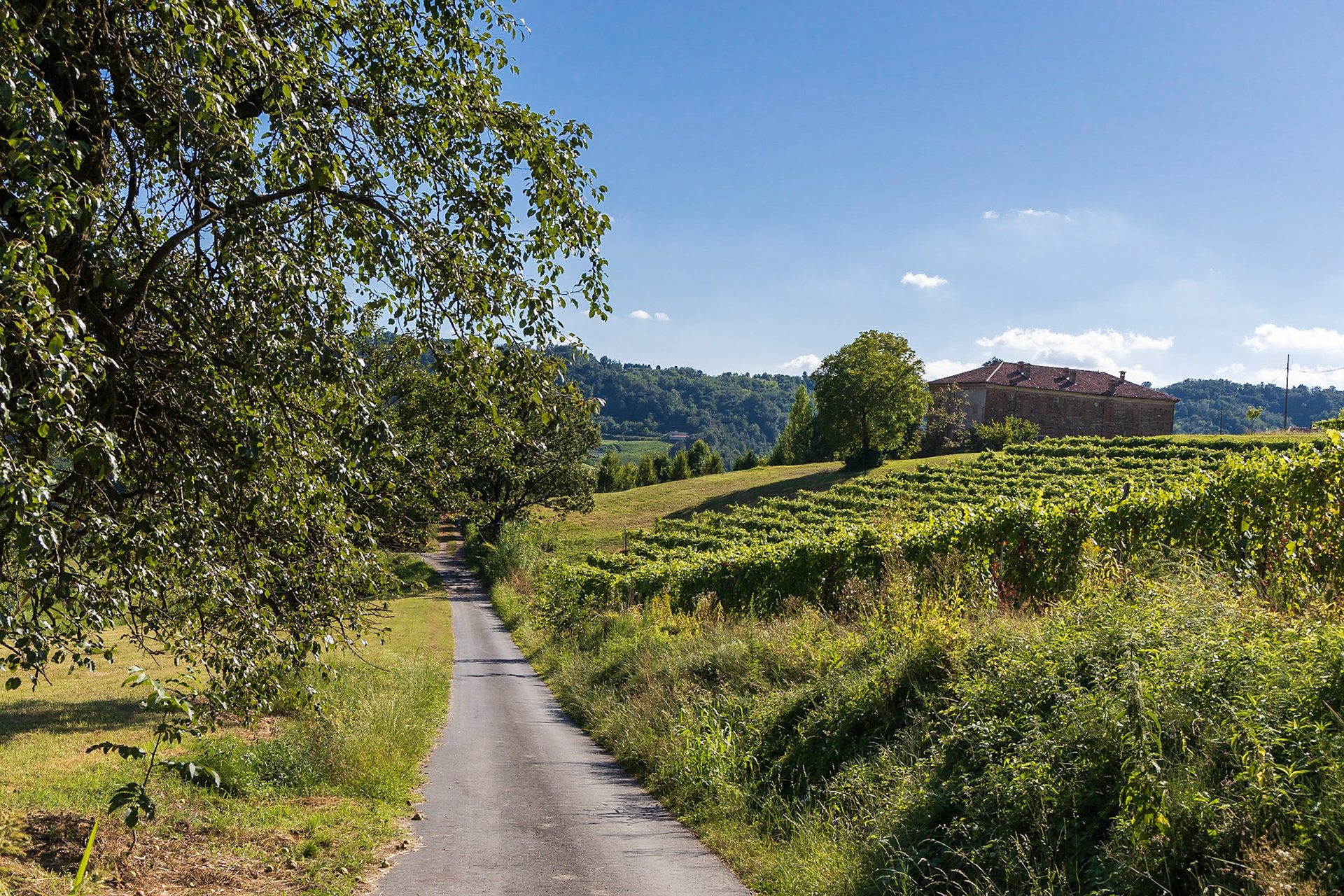 Marmorito Santa Maria (Comune di Aramengo)