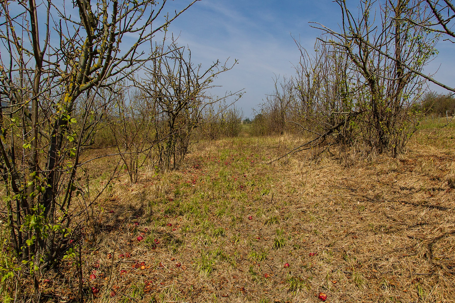 Il disastro. Senza parole!!