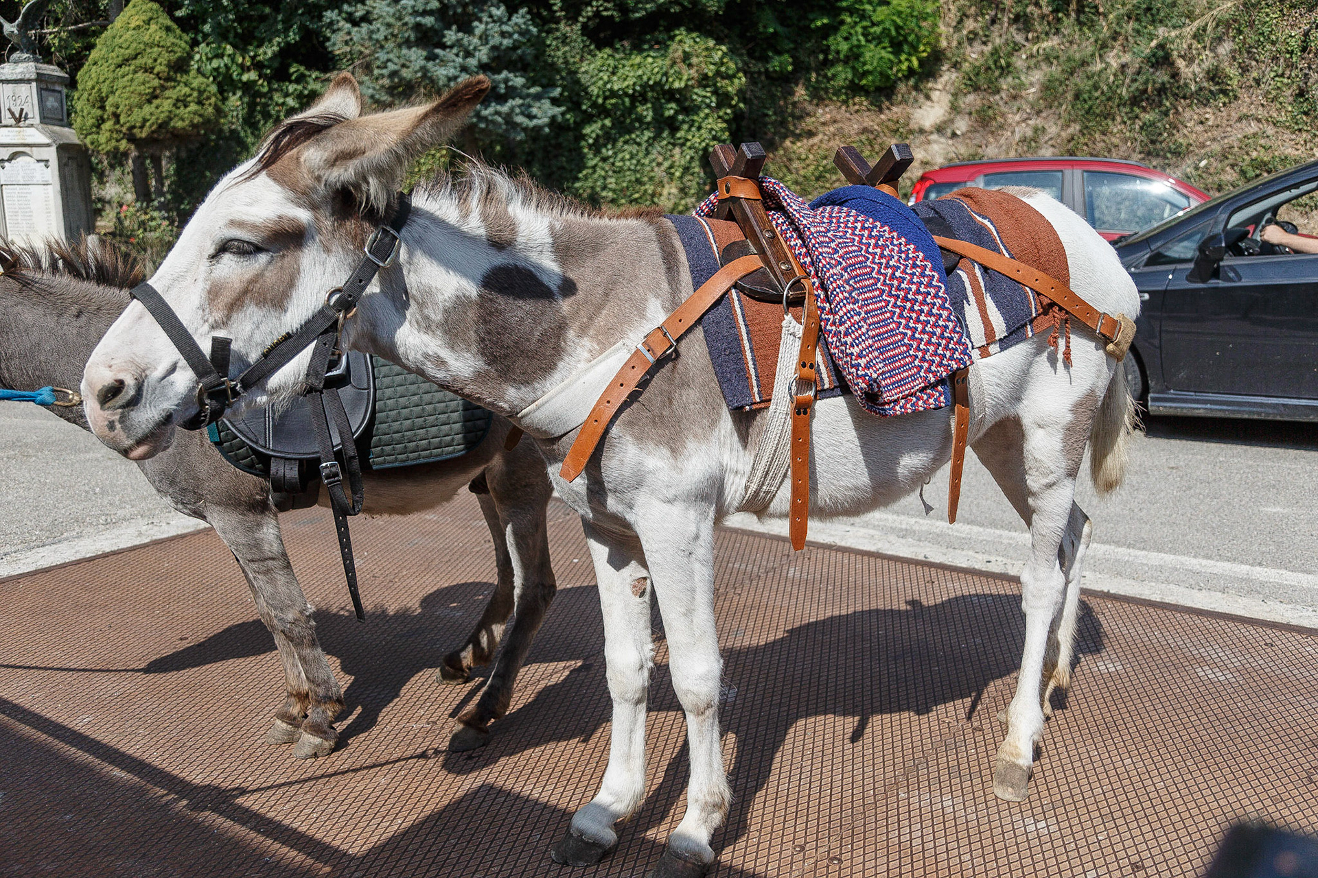 Panorama a Passo D'Asino
