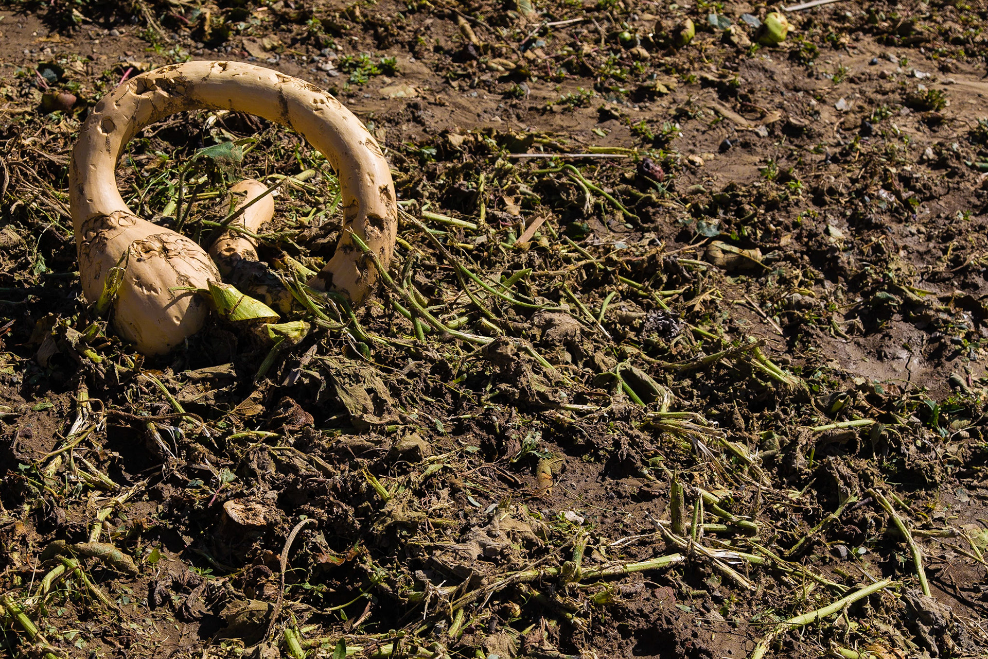 Il disastro. Senza parole!!