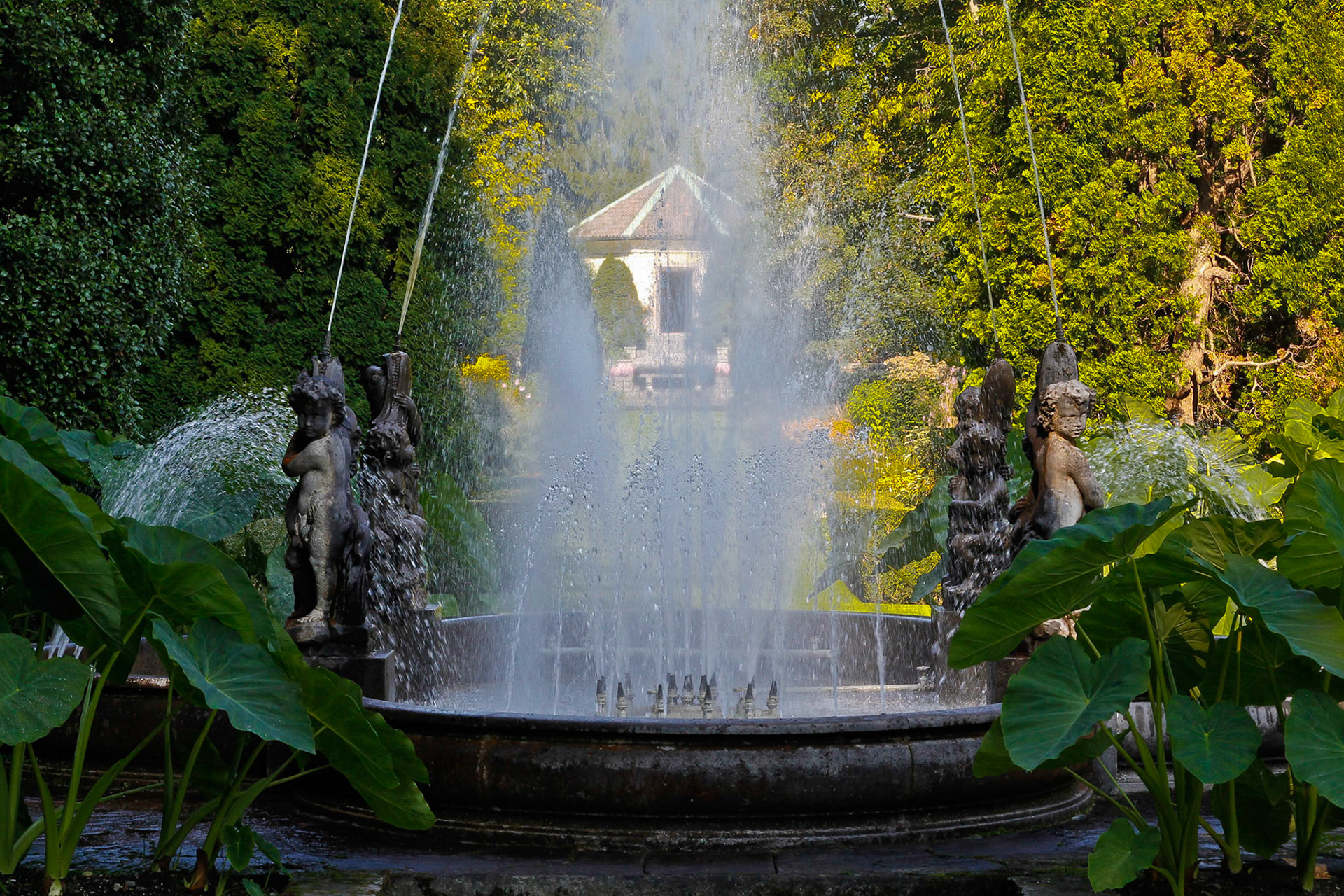 2010 - Gita degli Alpini al Lago Maggiore