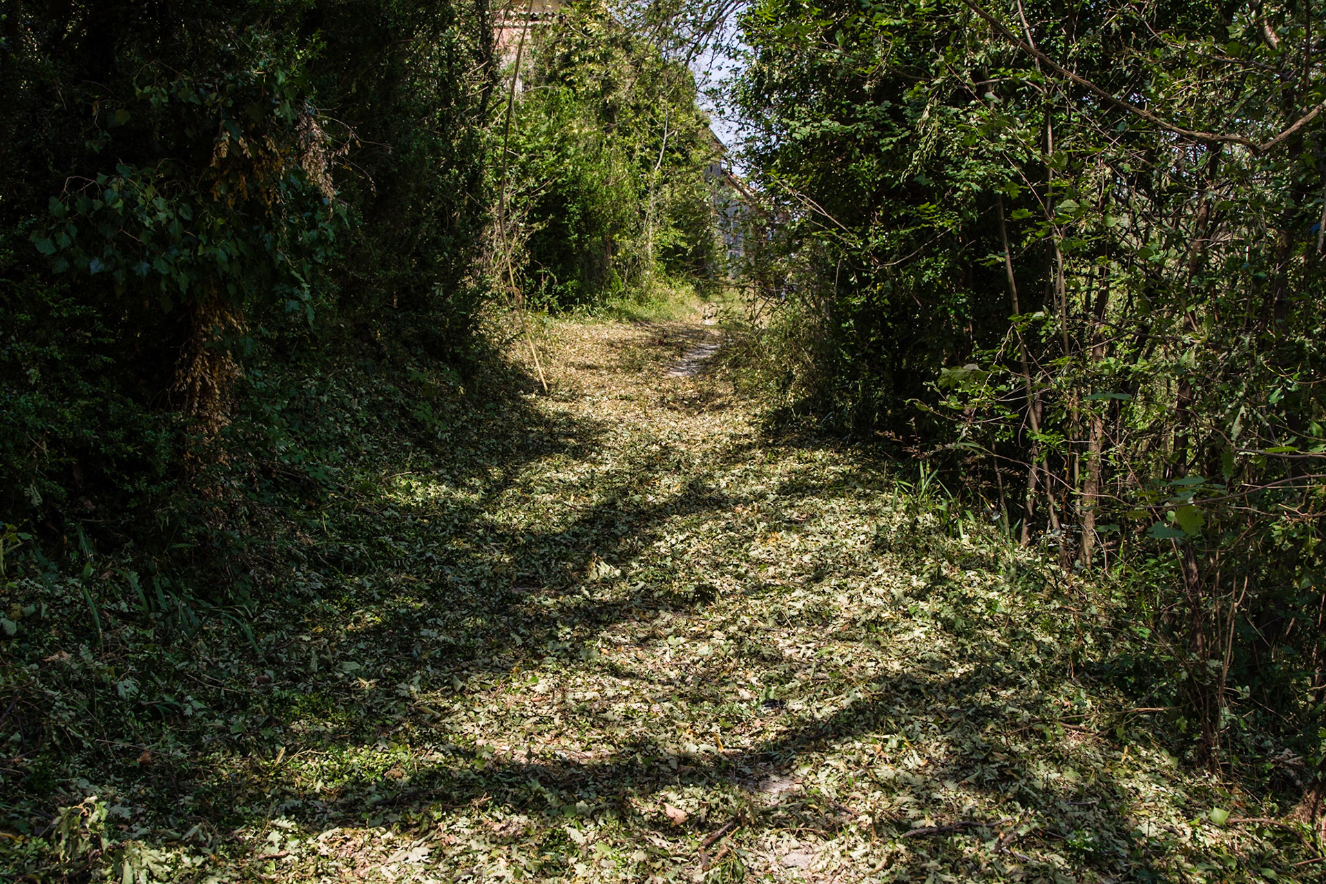 Il disastro. Senza parole!!