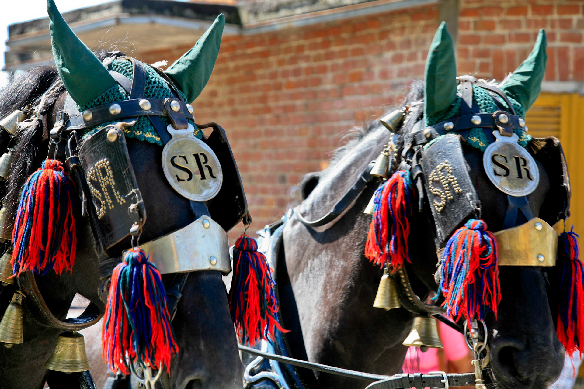 Festa Patronale di S. Rocco