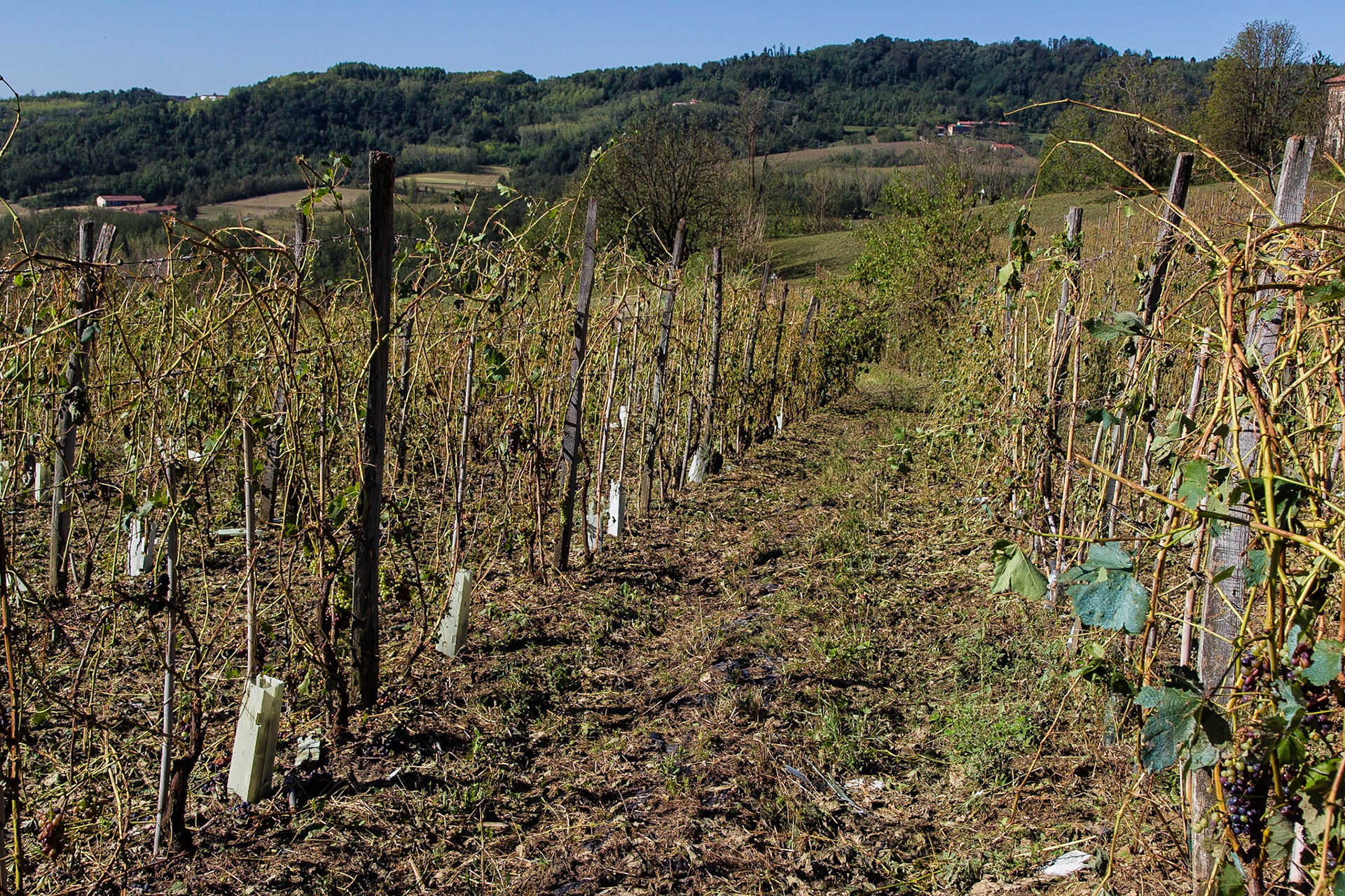 Il disastro. Senza parole!!
