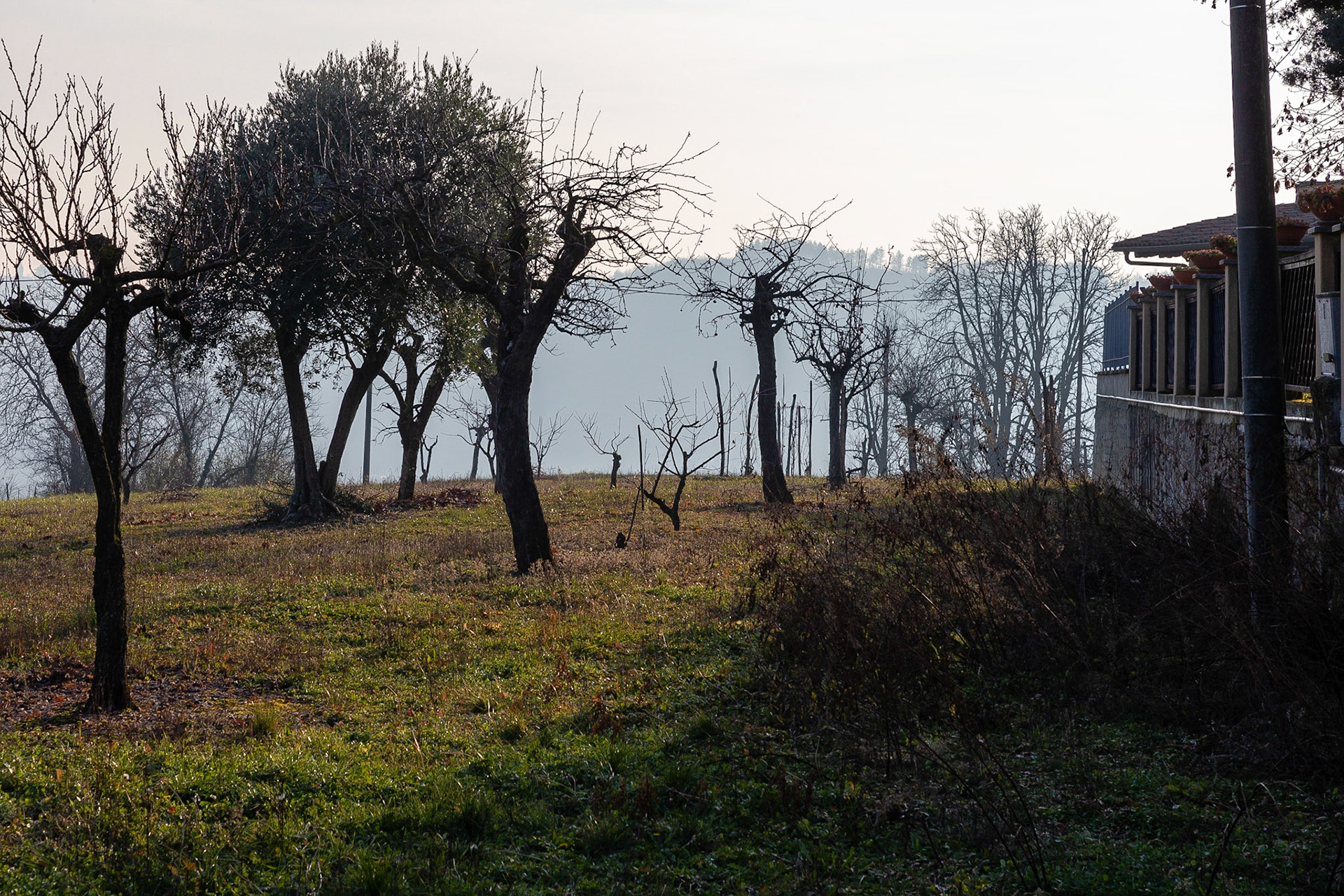Impressioni Natale Marmorito S. Maria (Comune di Aramengo)