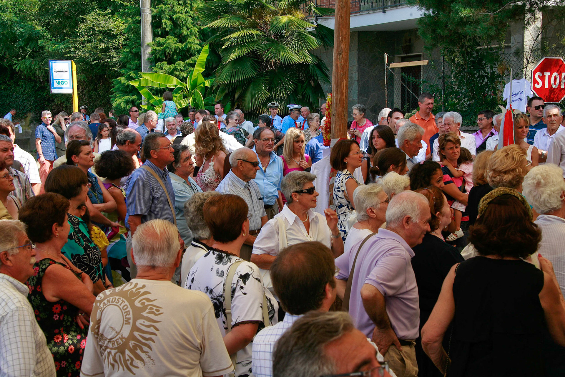 Distribuzione delle IMMAGINI DEL SANTO