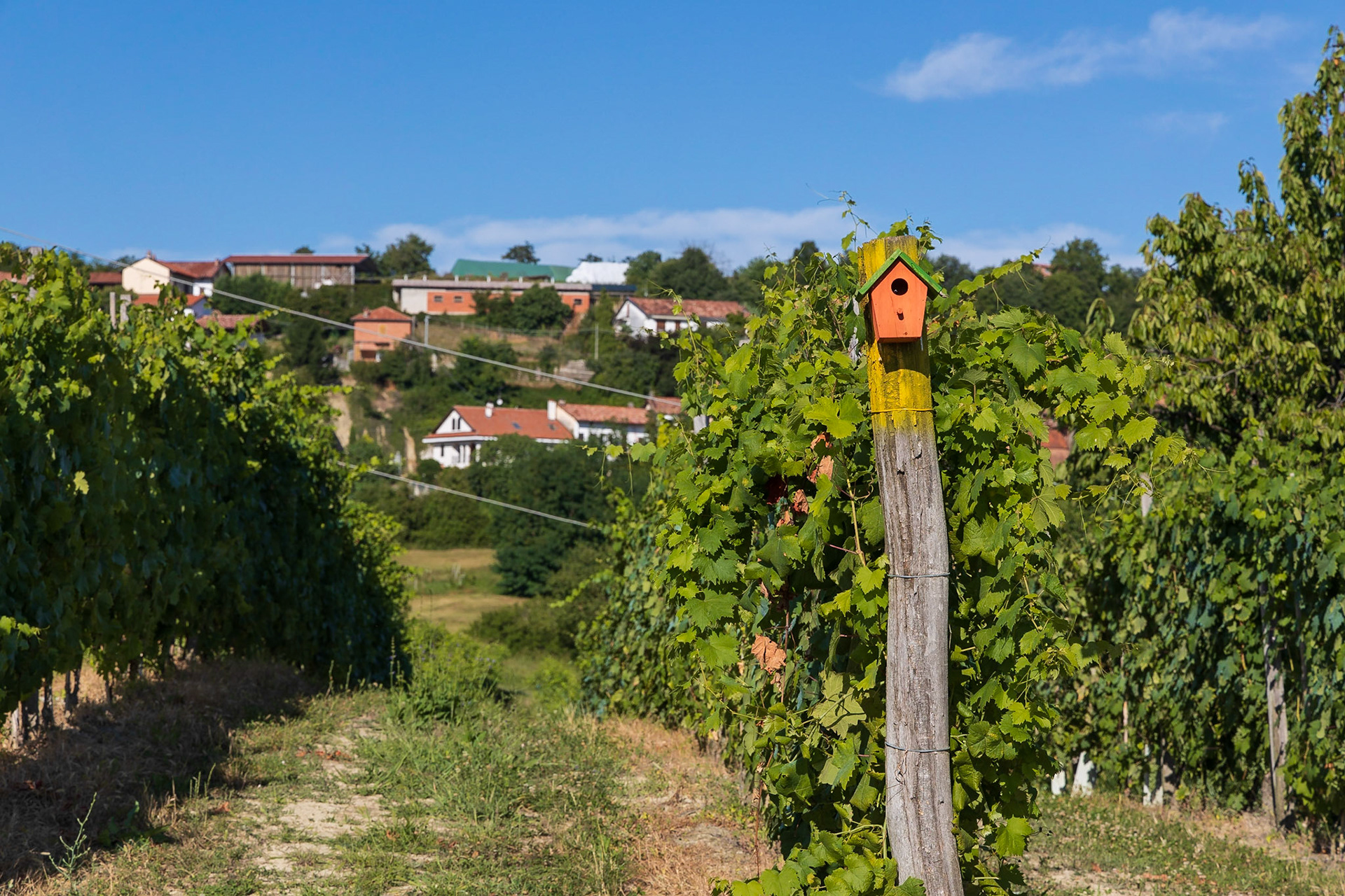 Marmorito Santa Maria (Comune di Aramengo)