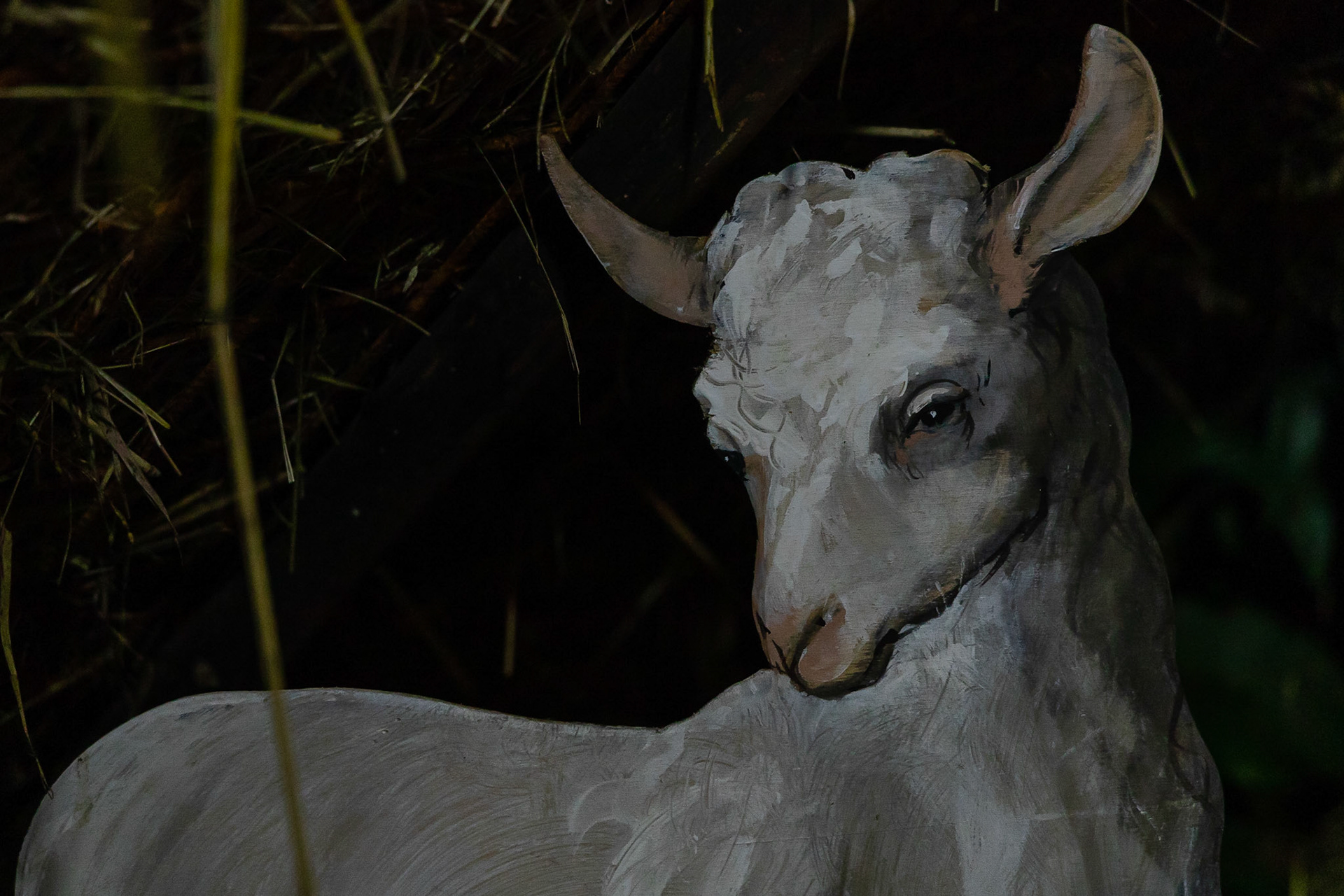 Impressioni Natale Marmorito S. Maria (Comune di Aramengo)