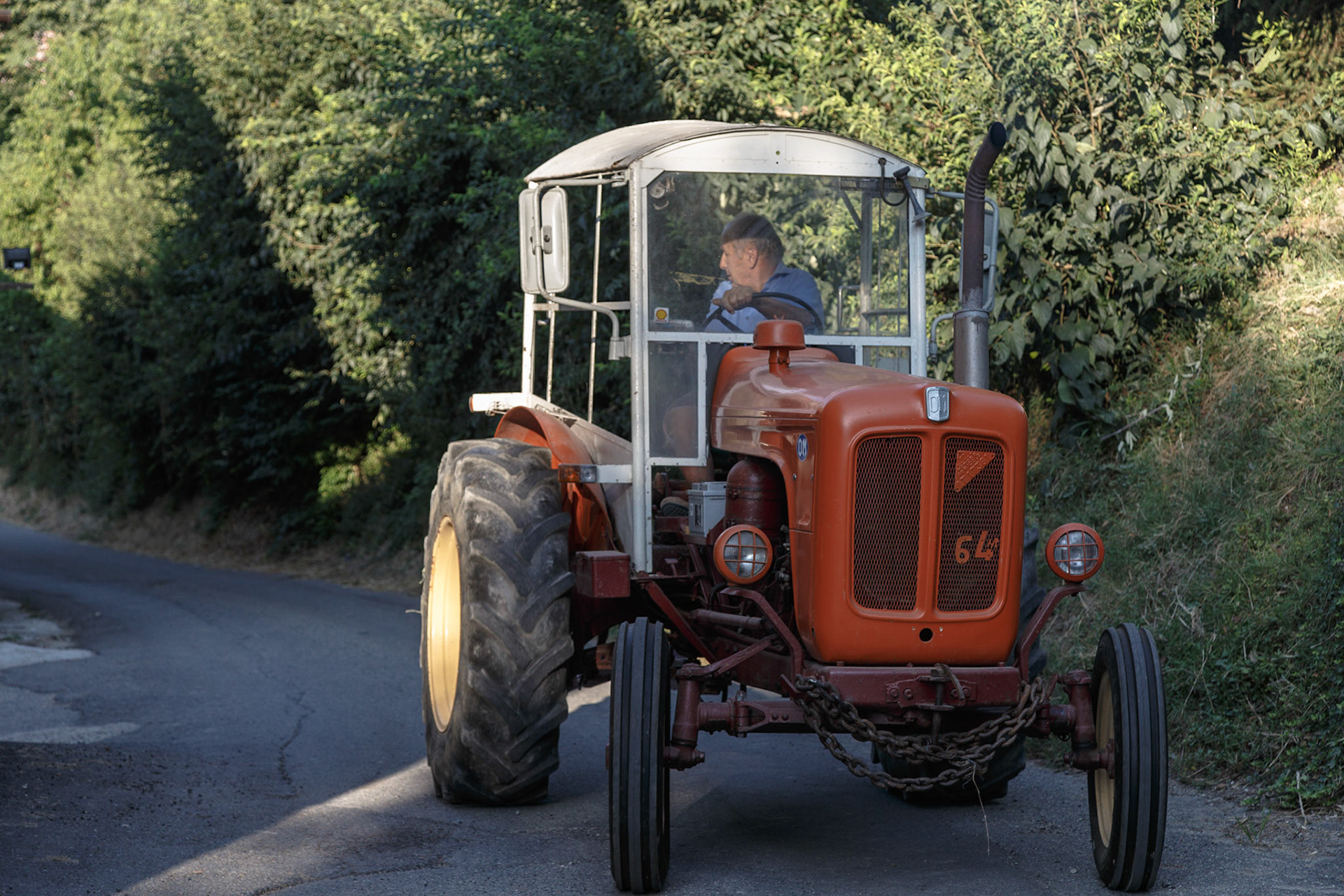 Tradizionale Benedizione animali, macchine agricole, autoveicoli