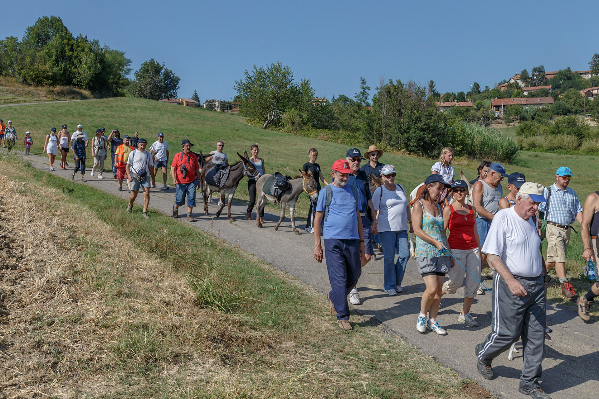 Panorama a Passo D'Asino