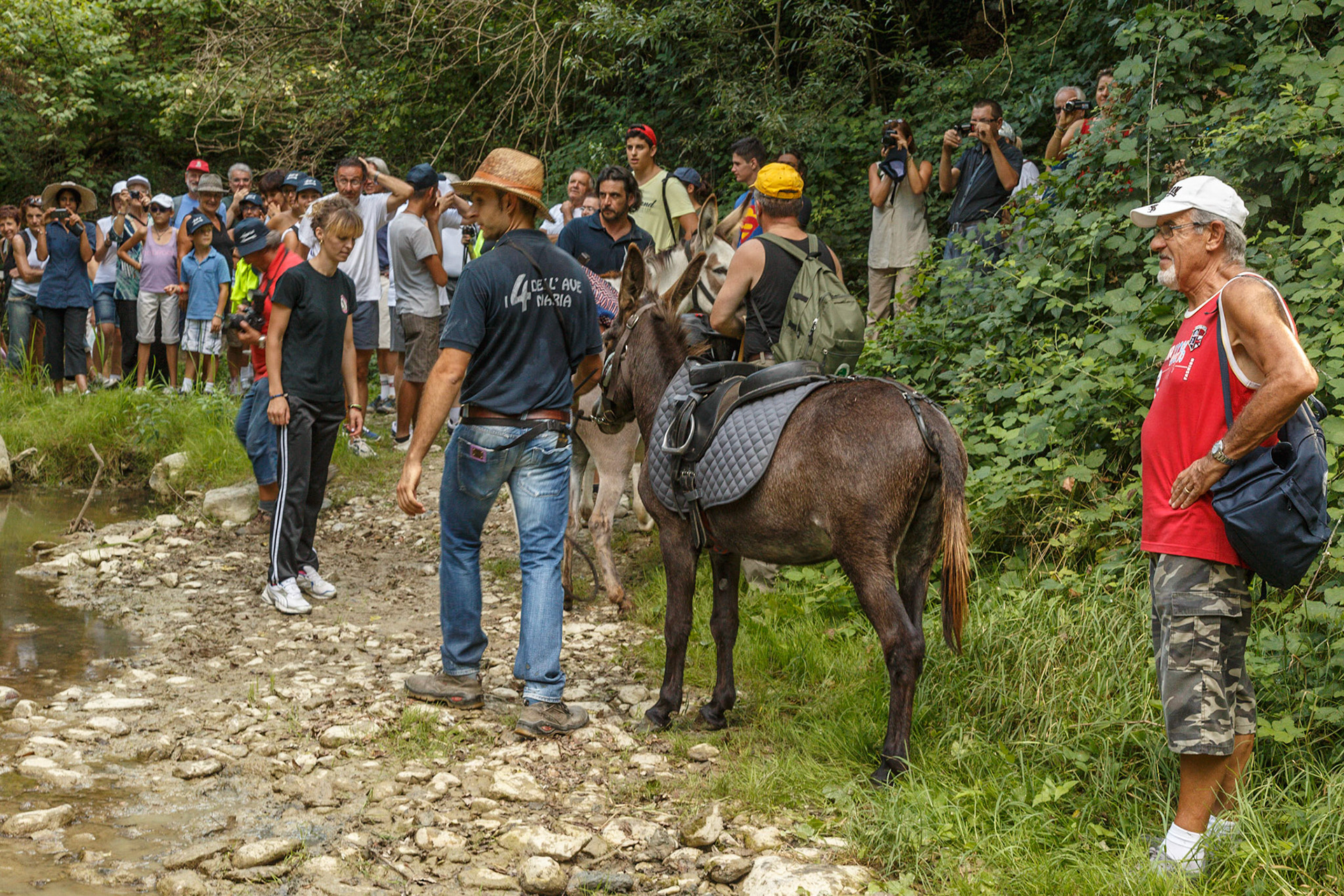 Panorama a Passo D'Asino