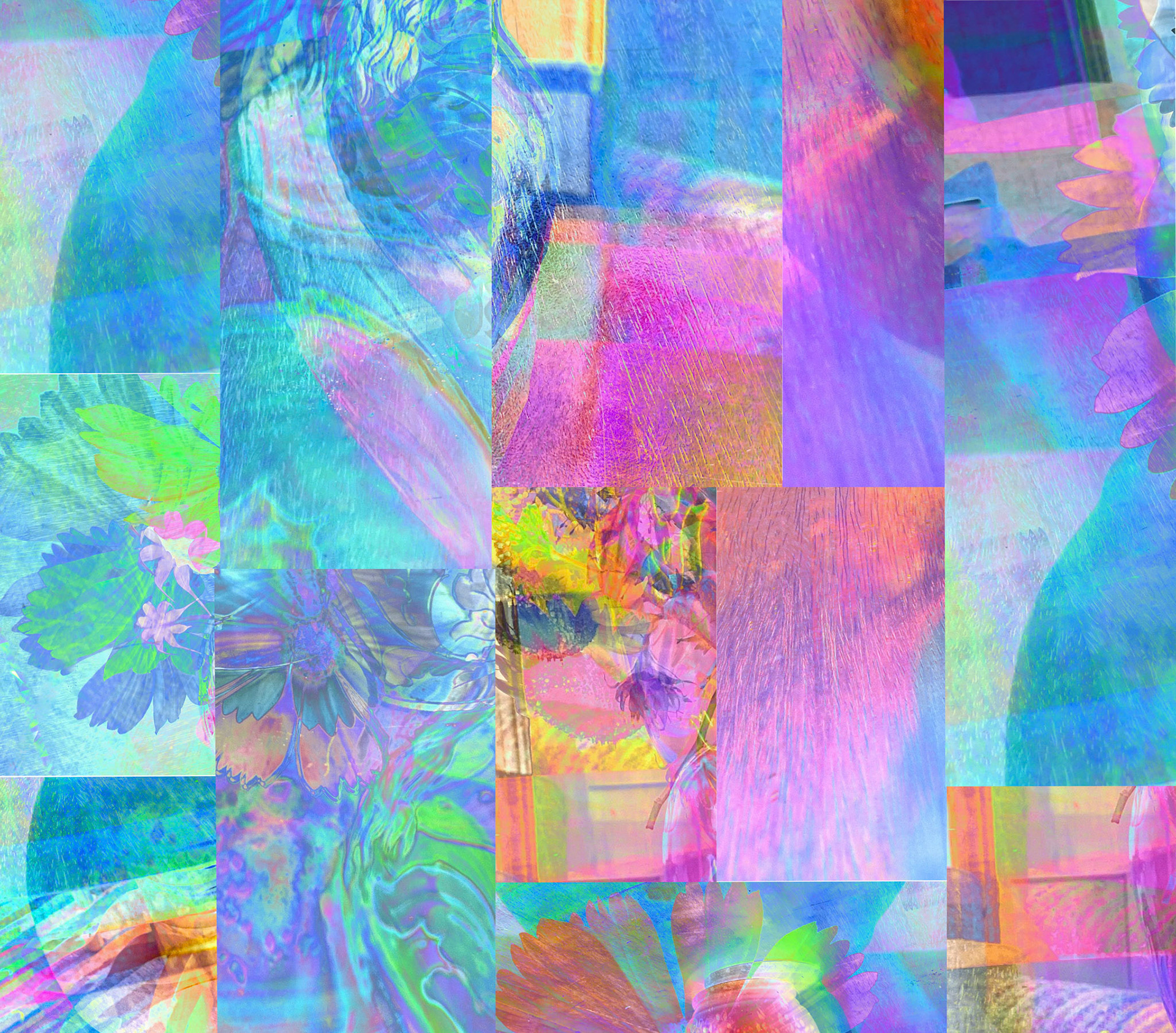 Multi Coloured Collage