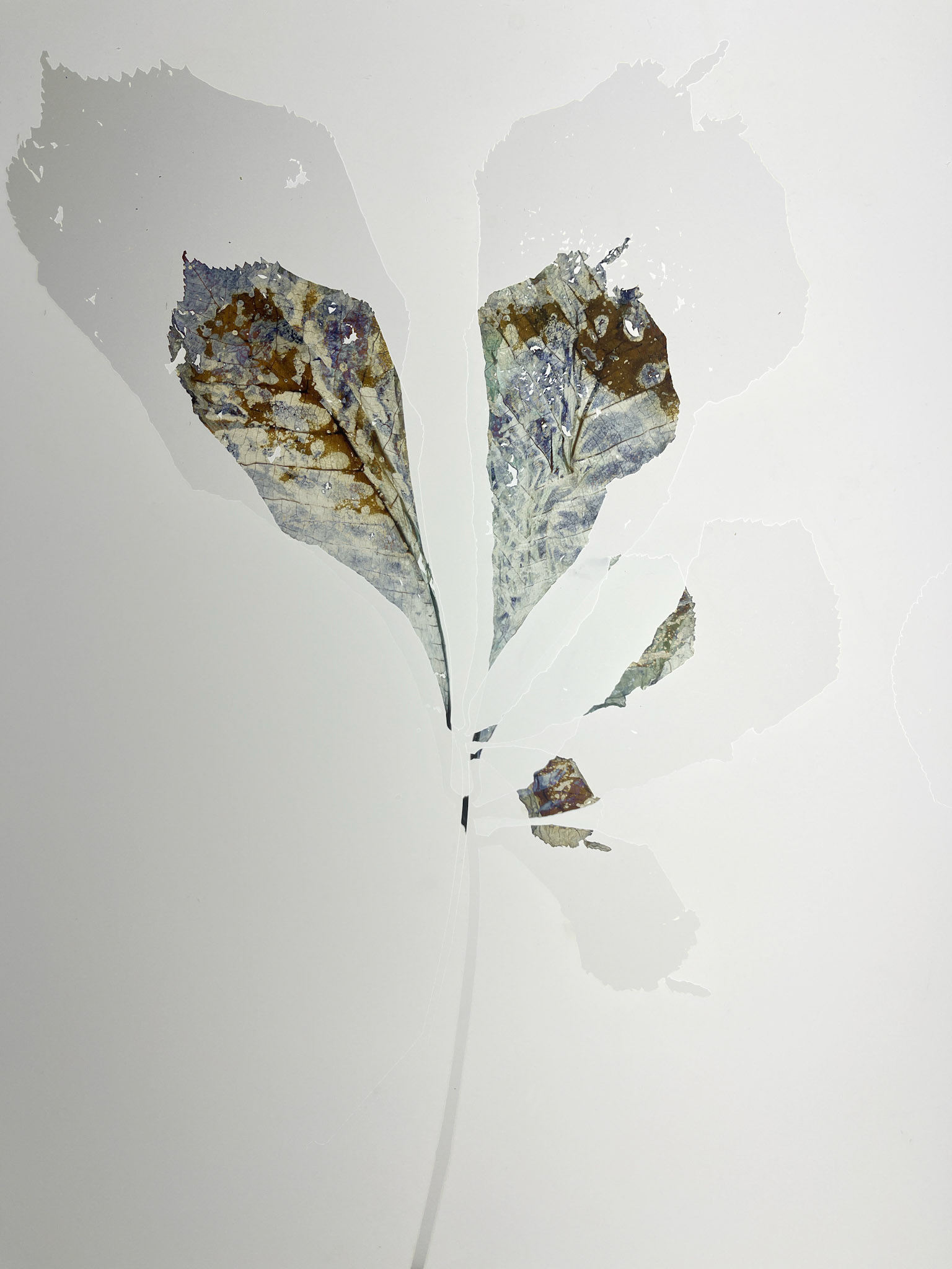 Double exposures
