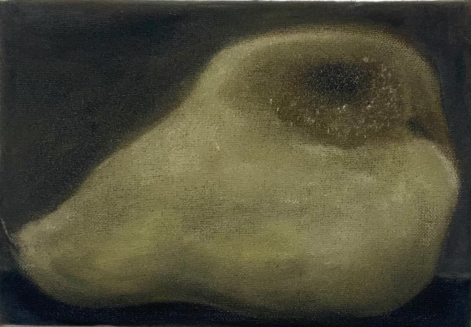 a pear studies 14x20 oil on canvas