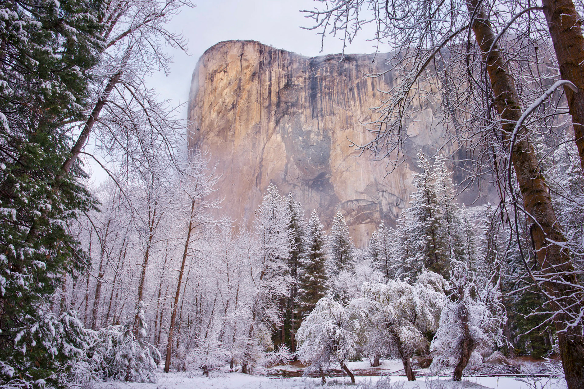 Pre-dawn El Capitan