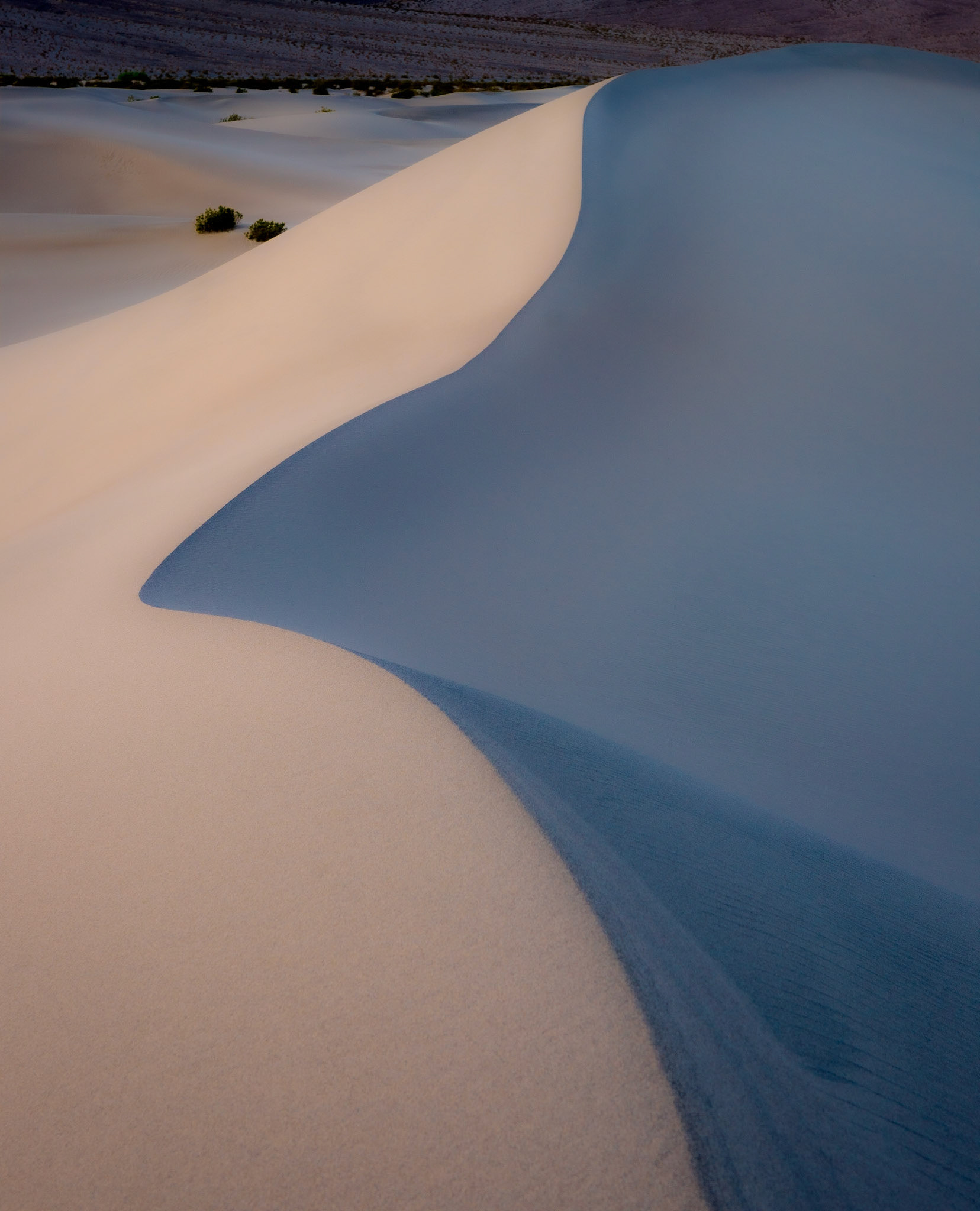 Mesquite Dunes