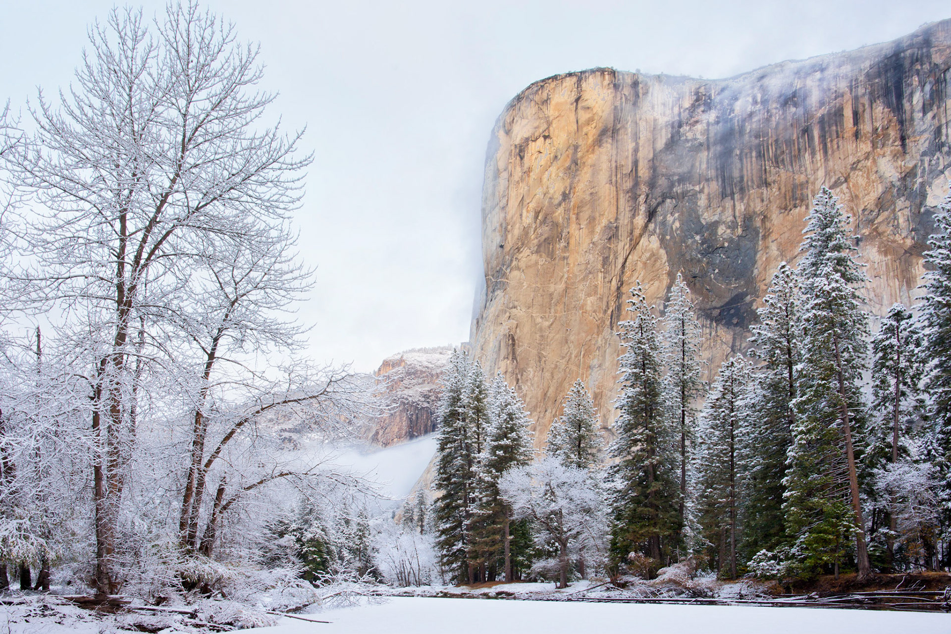 Pre-dawn El Capitan