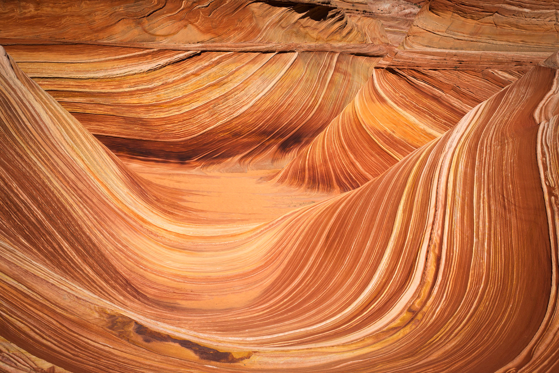 Vermilion Cliffs National Monument