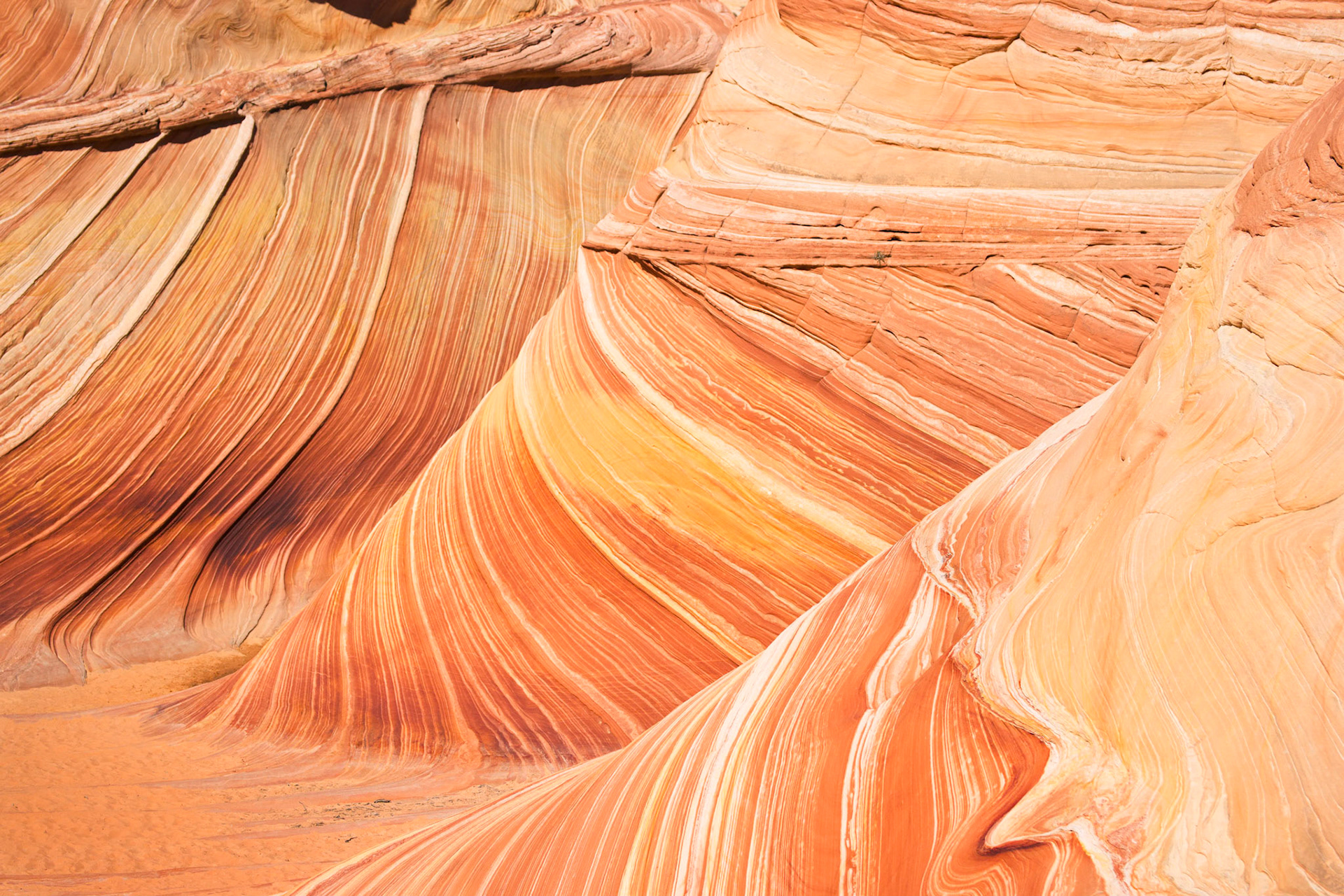 Vermilion Cliffs National Monument