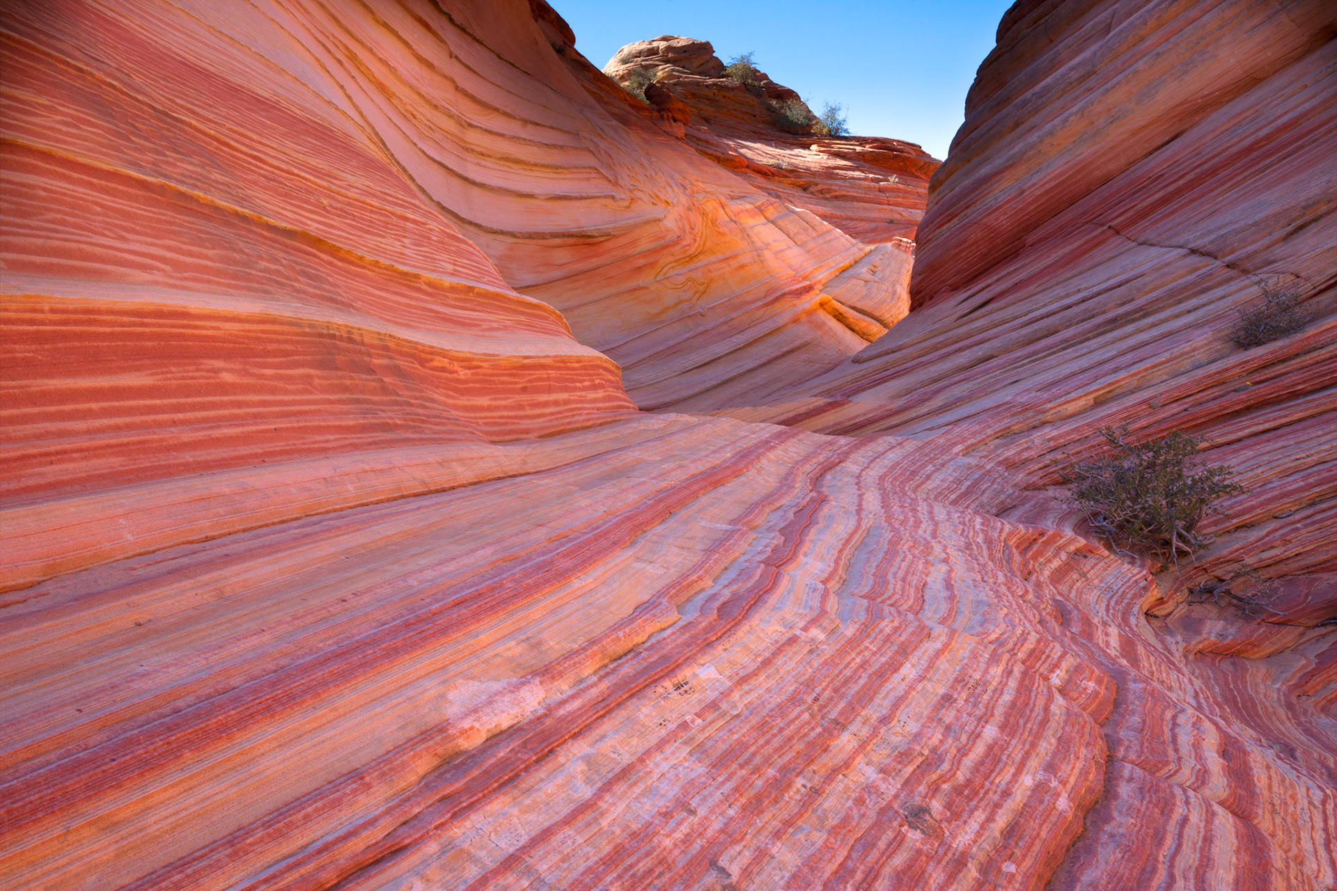 Vermilion Cliffs National Monument