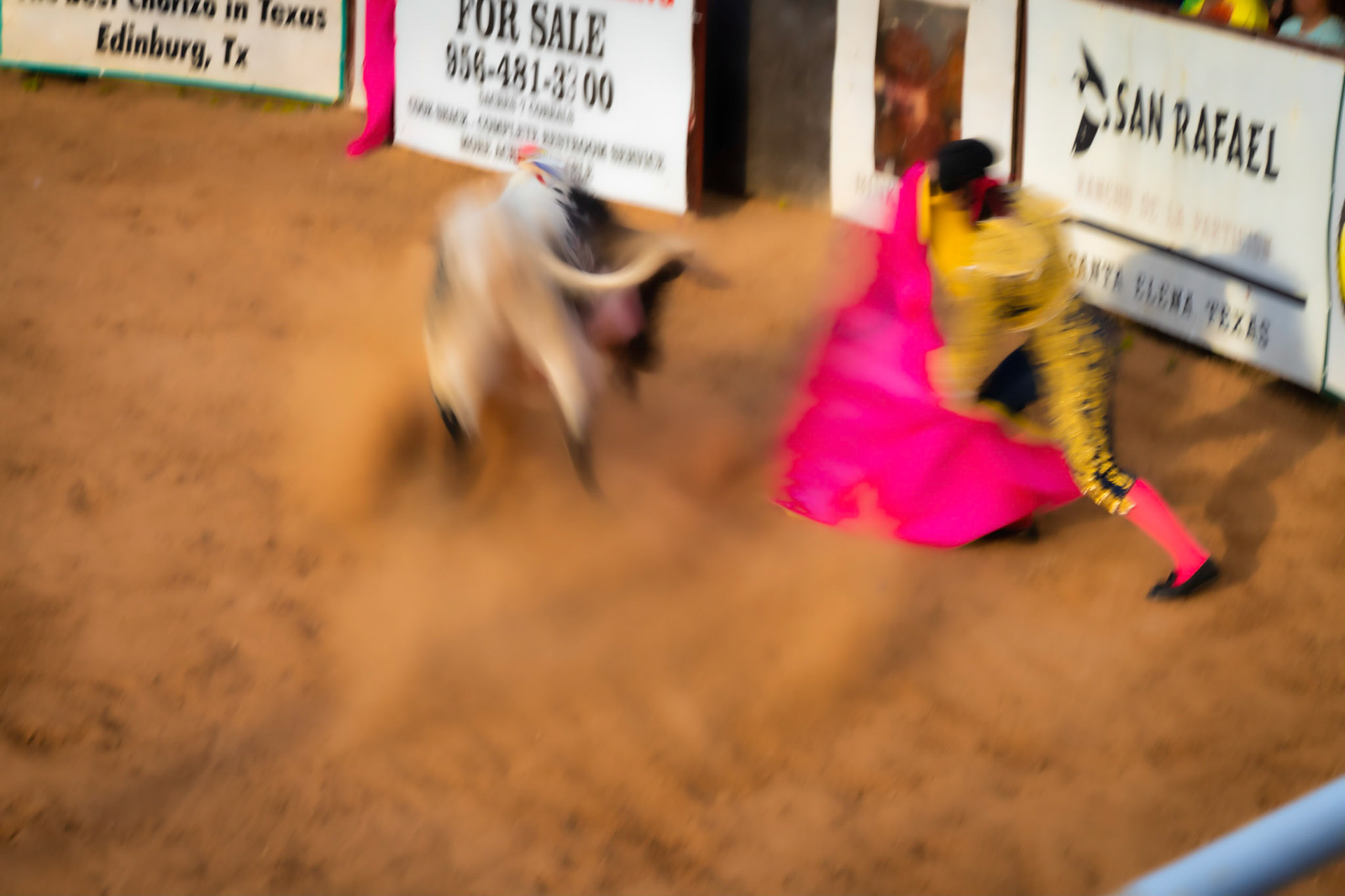 Bloodless Dance