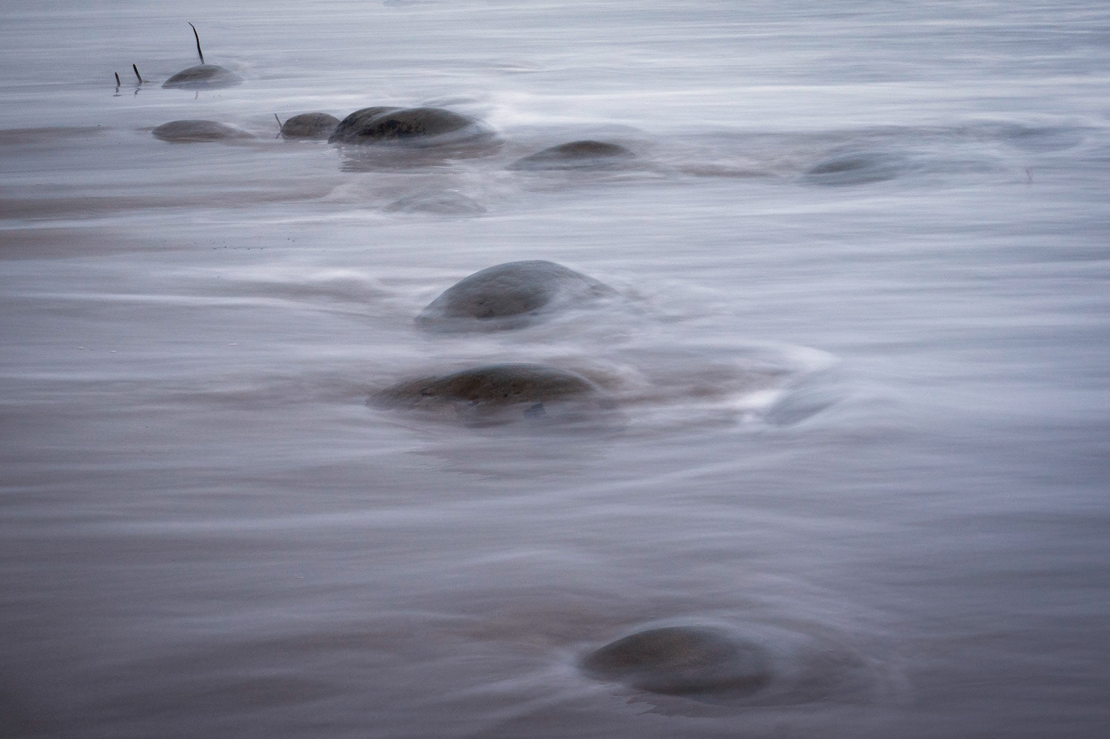 Northern California Coast