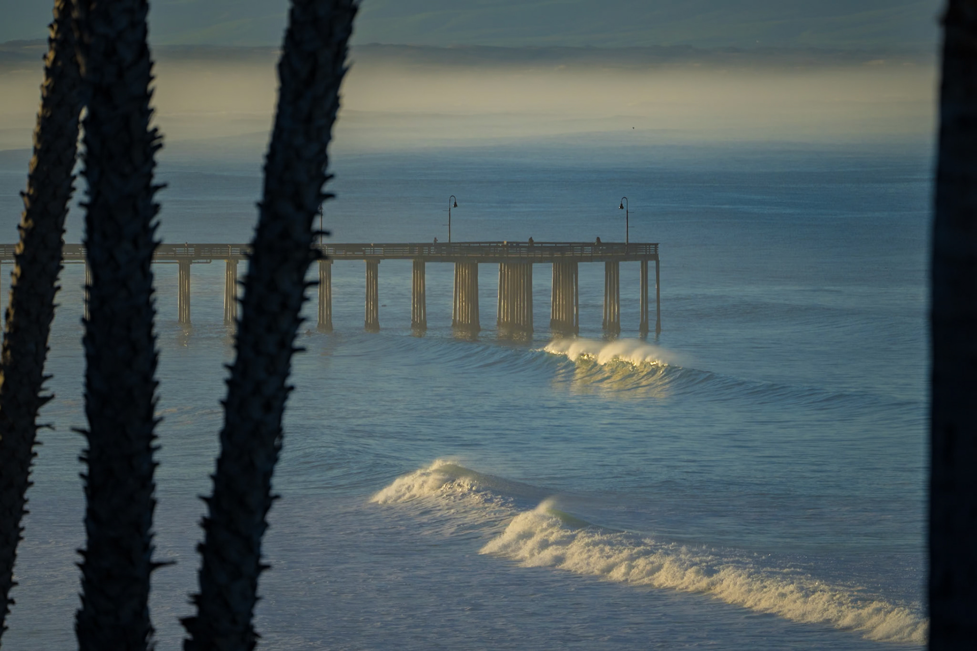 Pier &amp; Fog