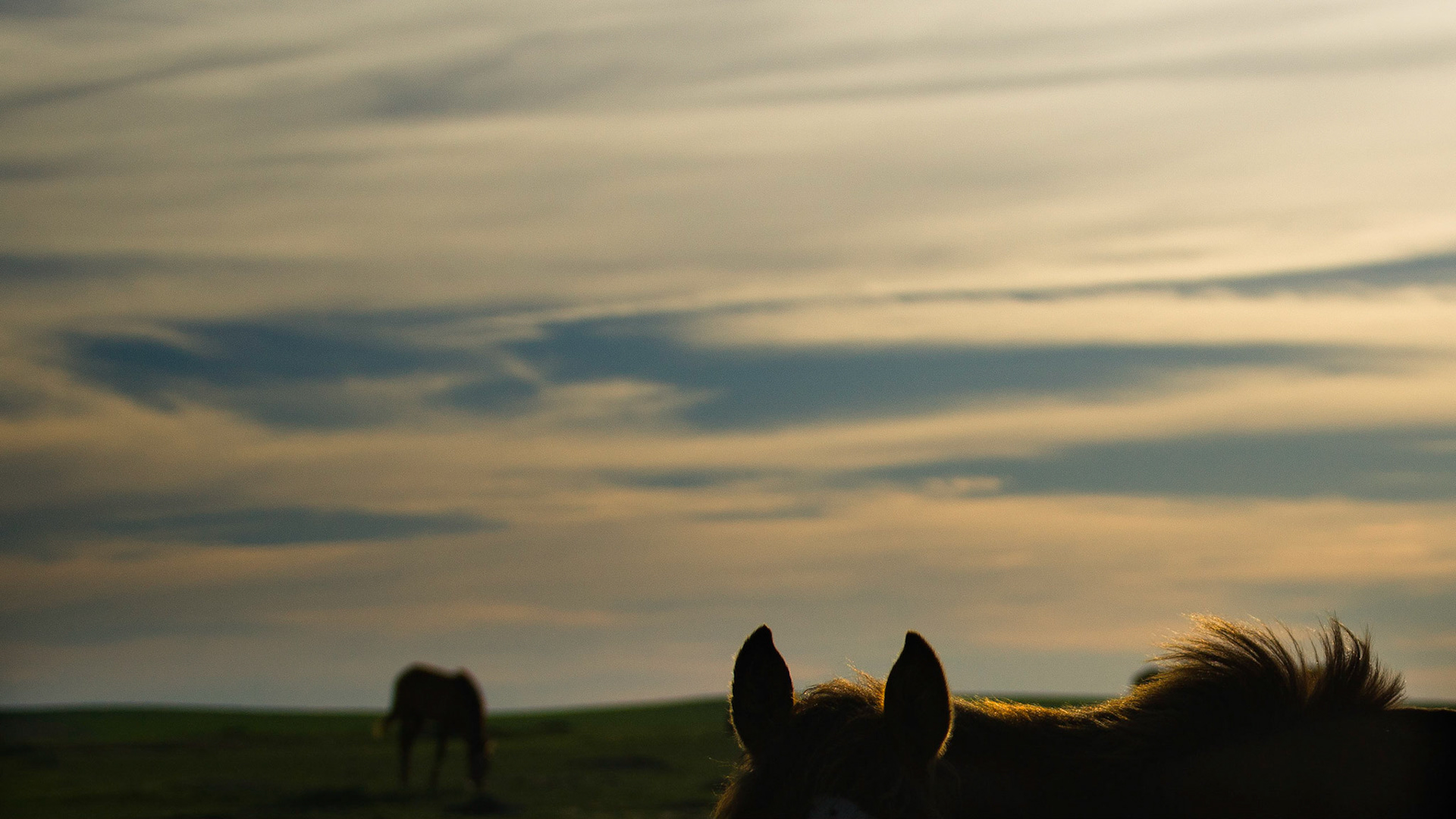South Dakota
