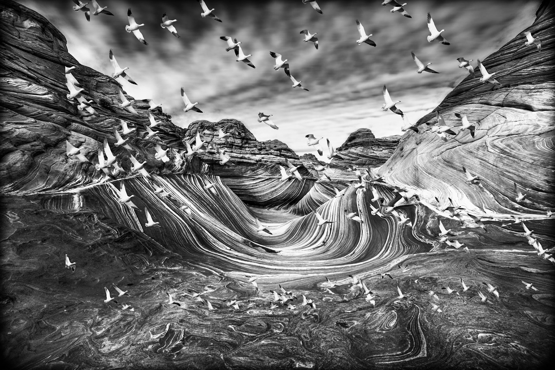 The Wave(s)