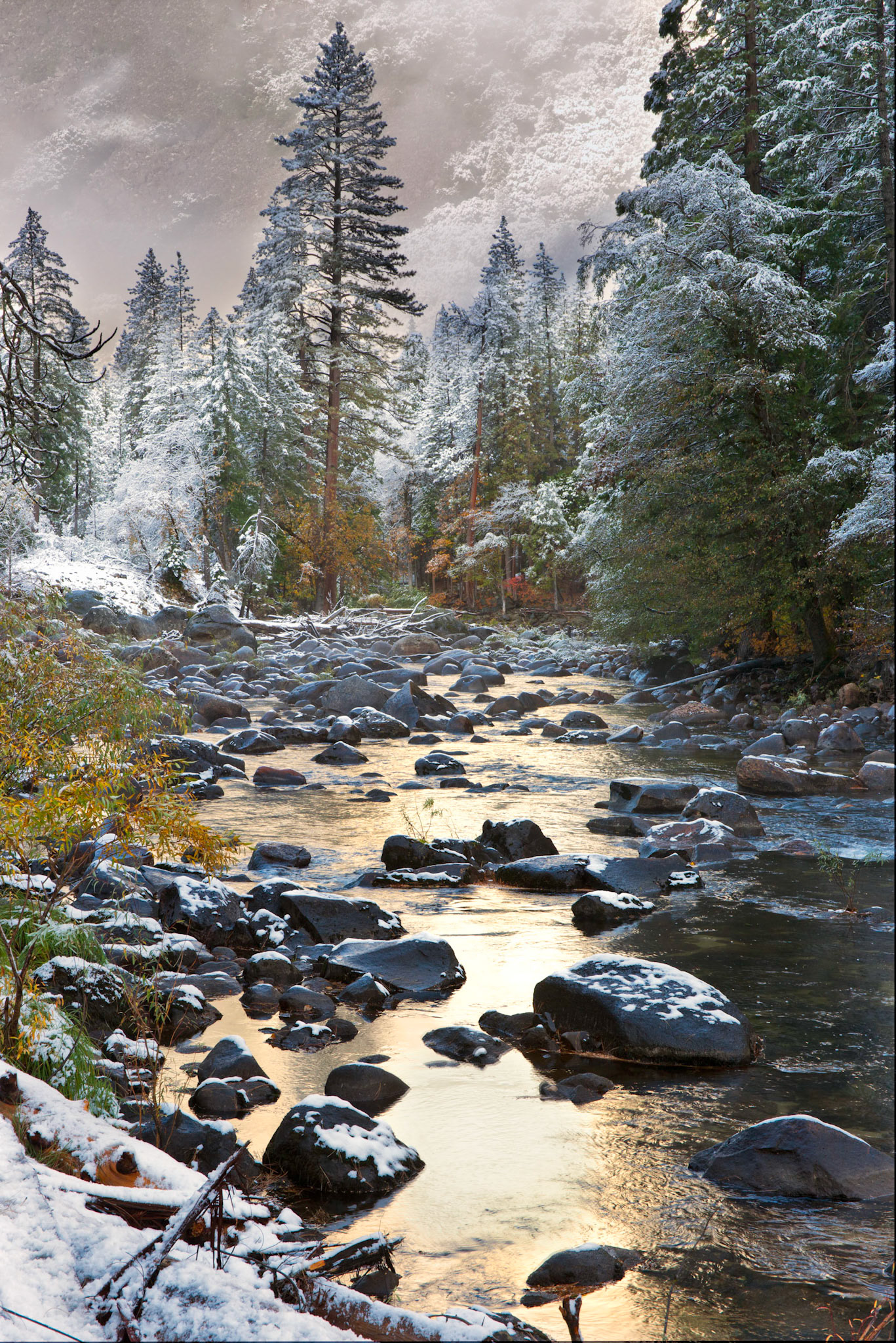Yosemite National Park