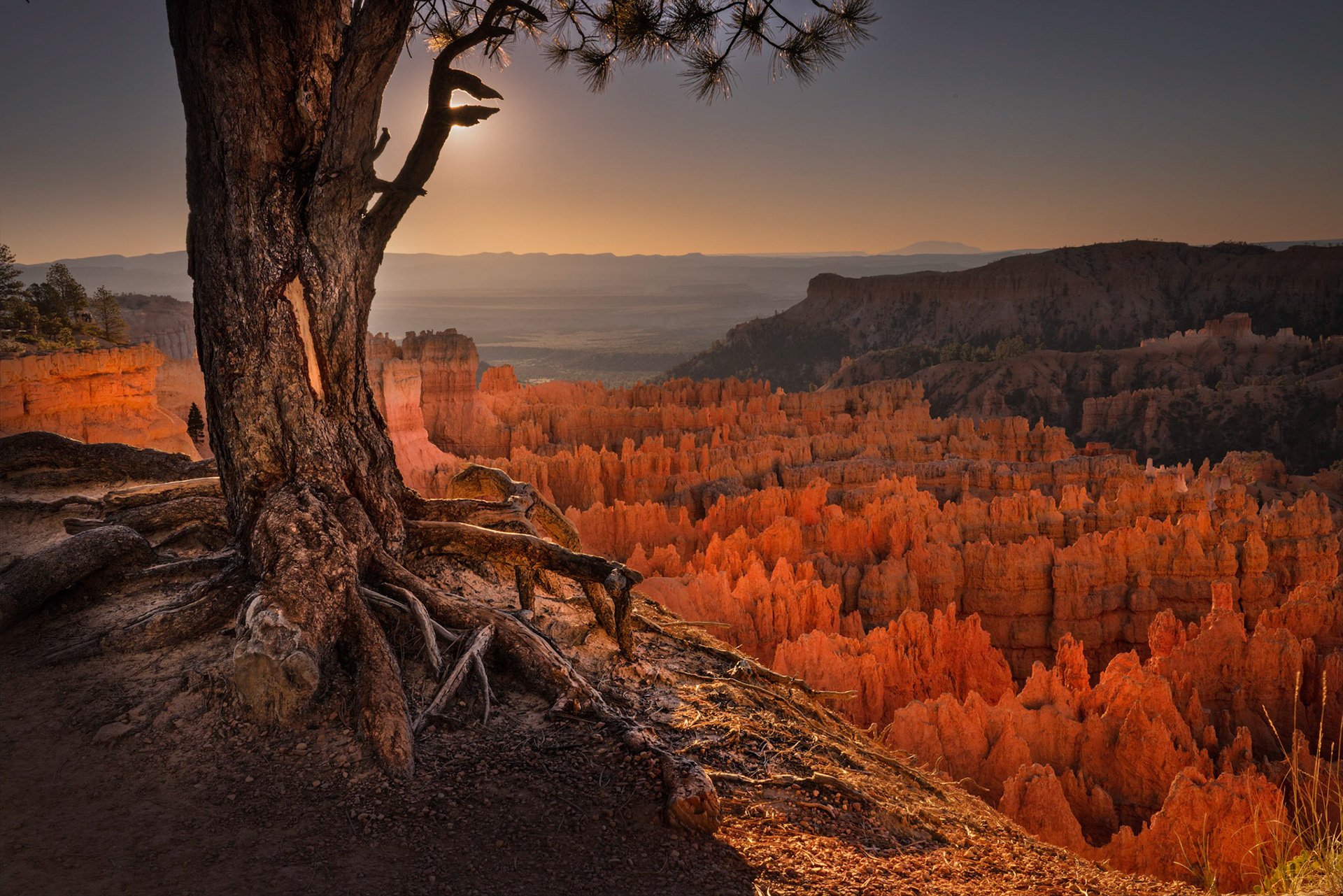 Bryce NP