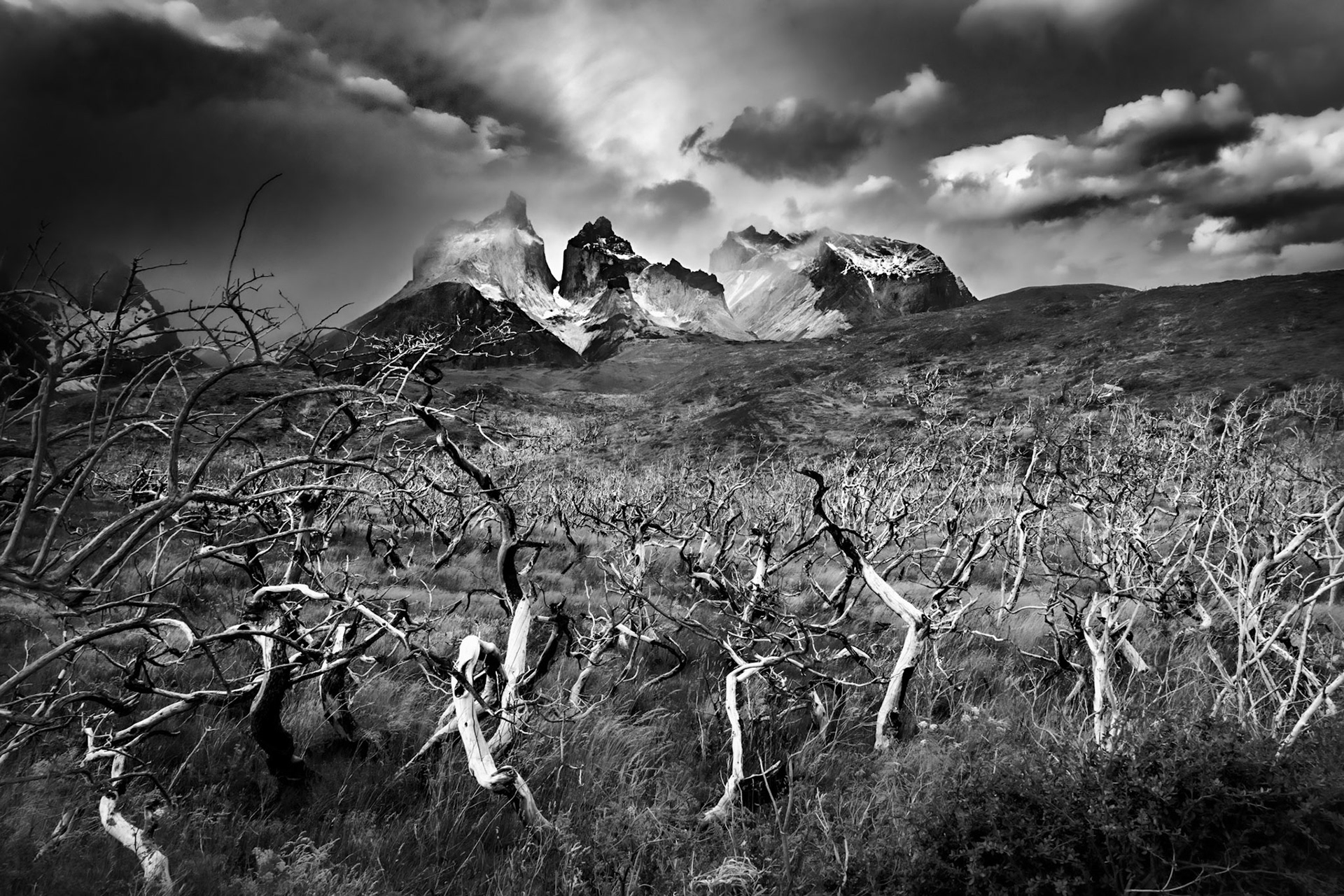 Torres del Paine