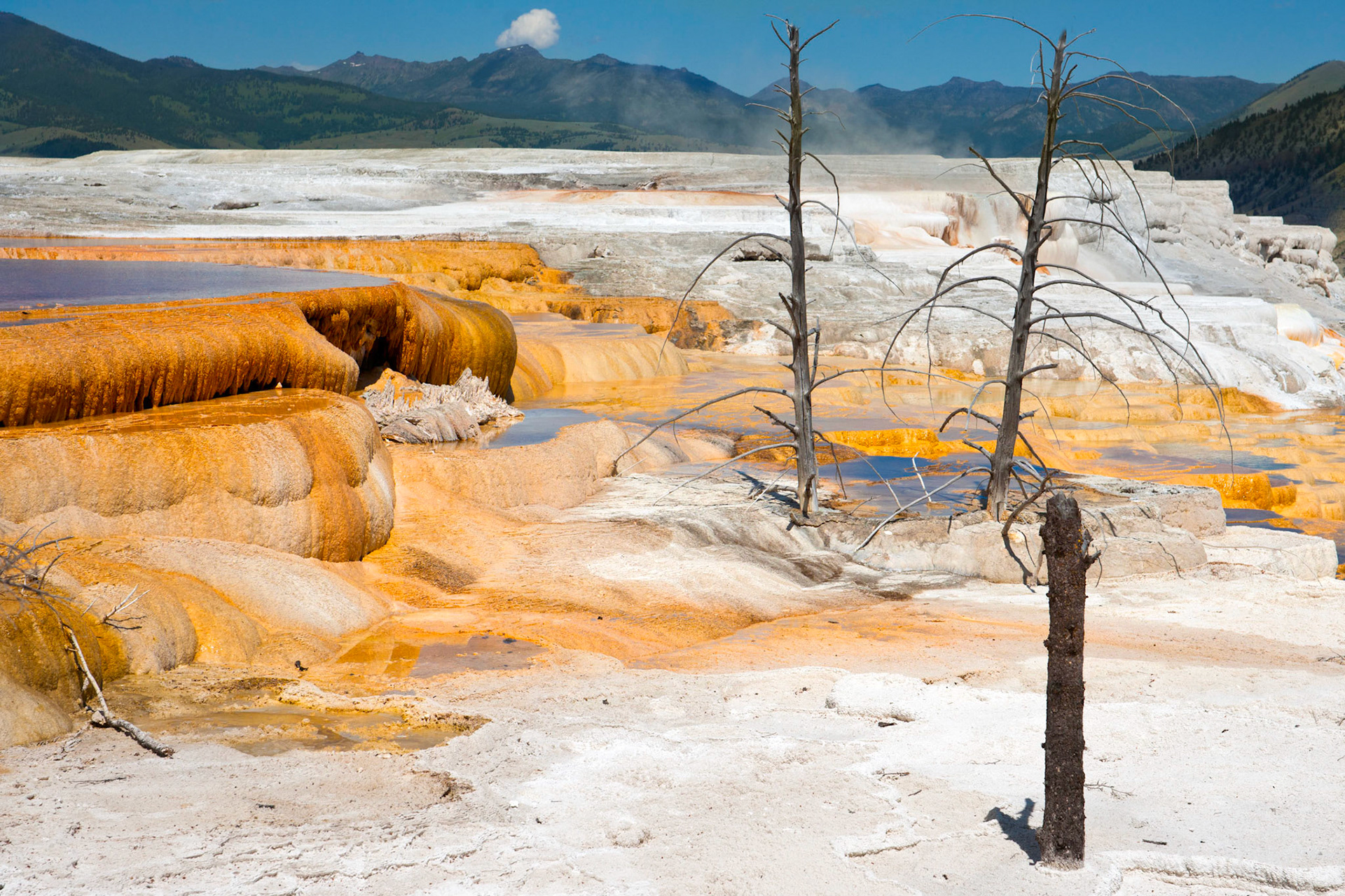 Yellowstone National Park