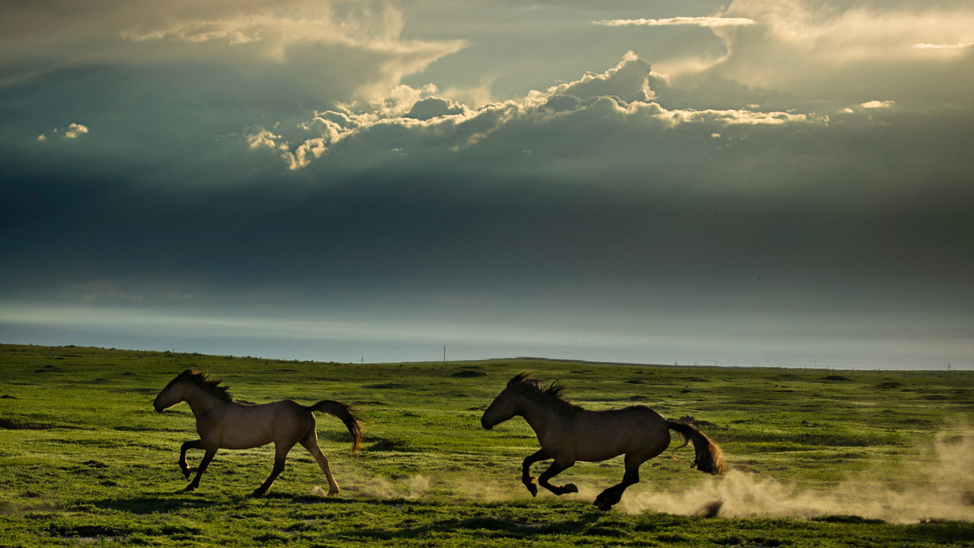 South Dakota