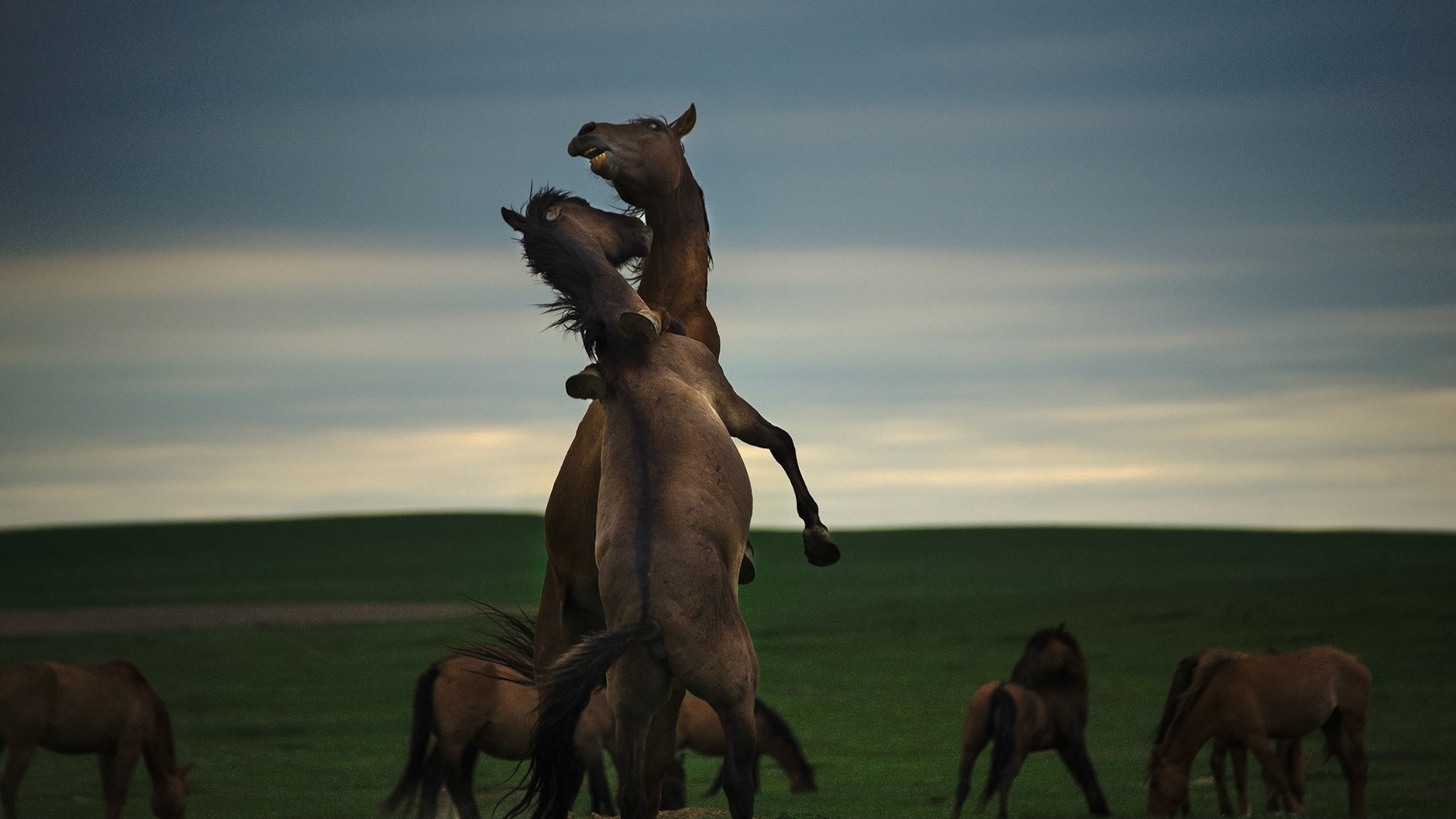 South Dakota