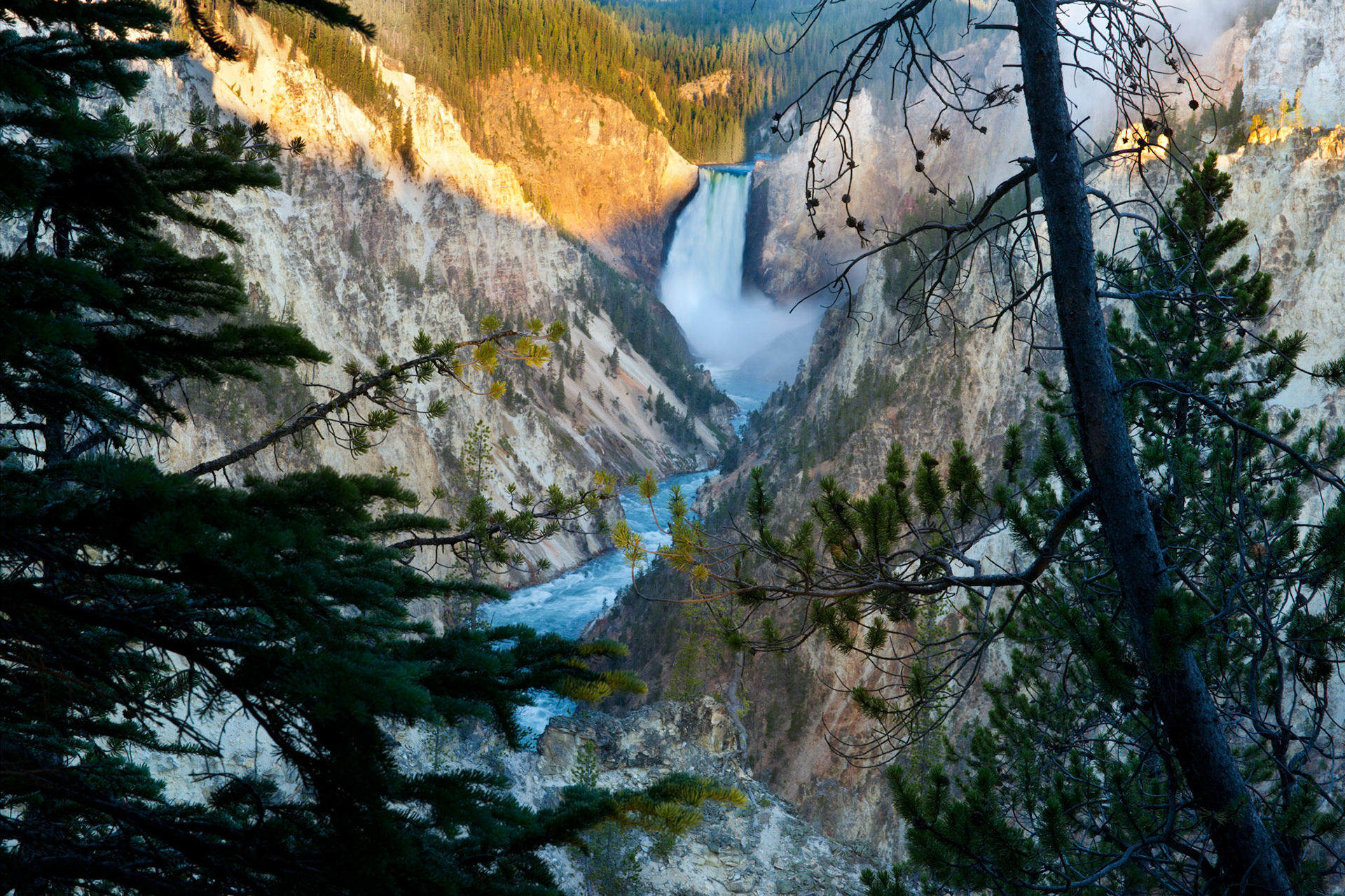 Yellowstone Falls