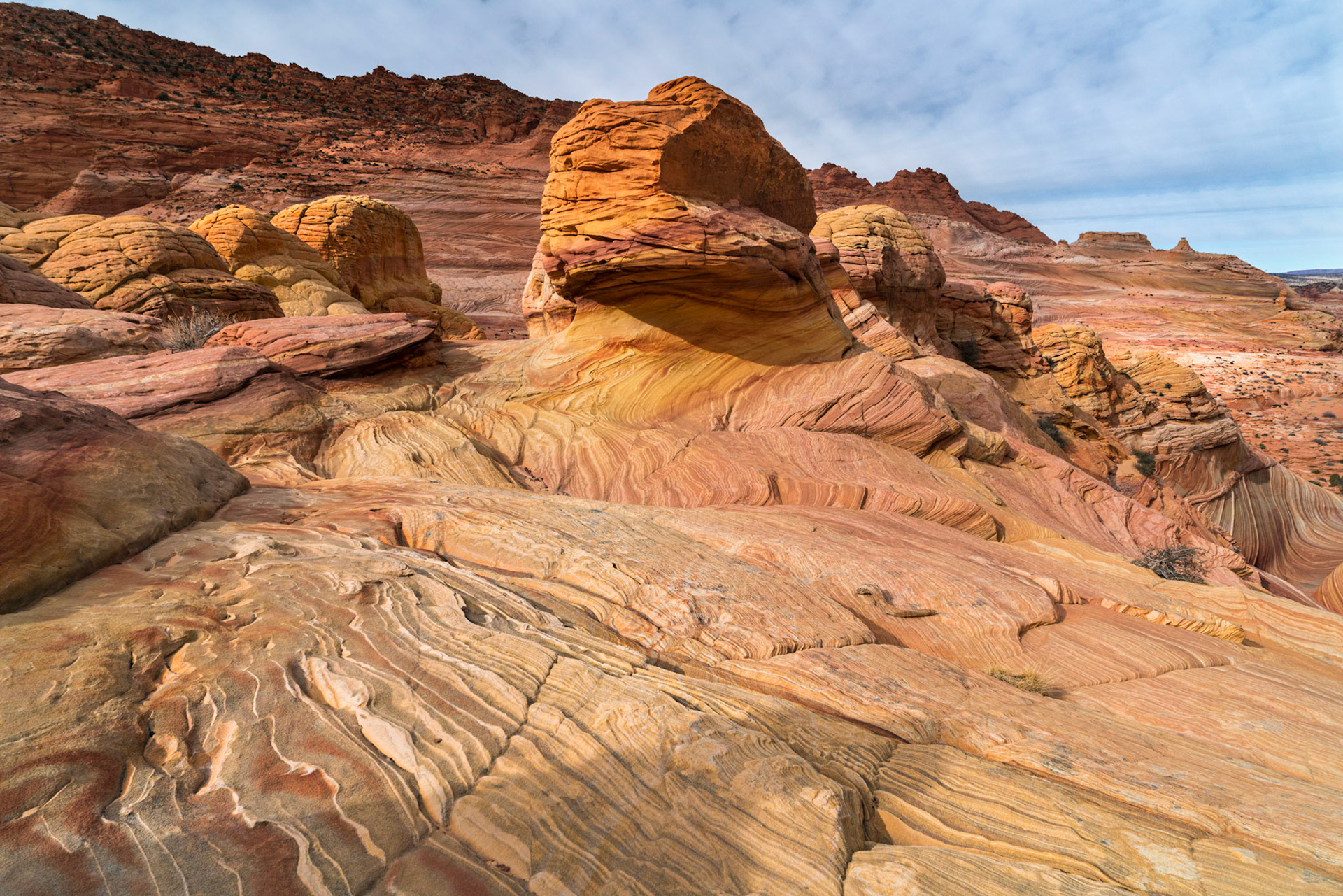 Vermilion Cliffs National Monument