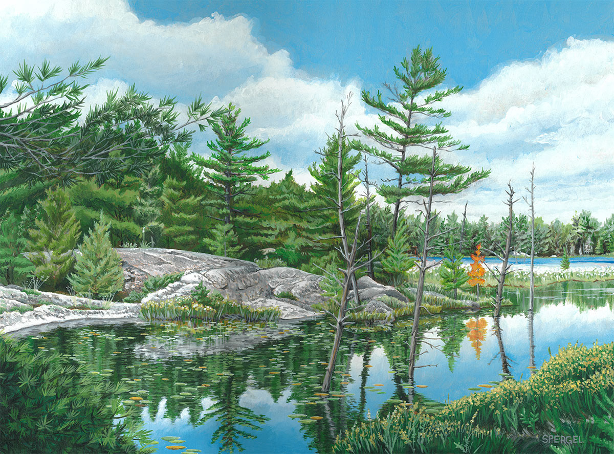 Beaver Pond, Acrylic on Canvas